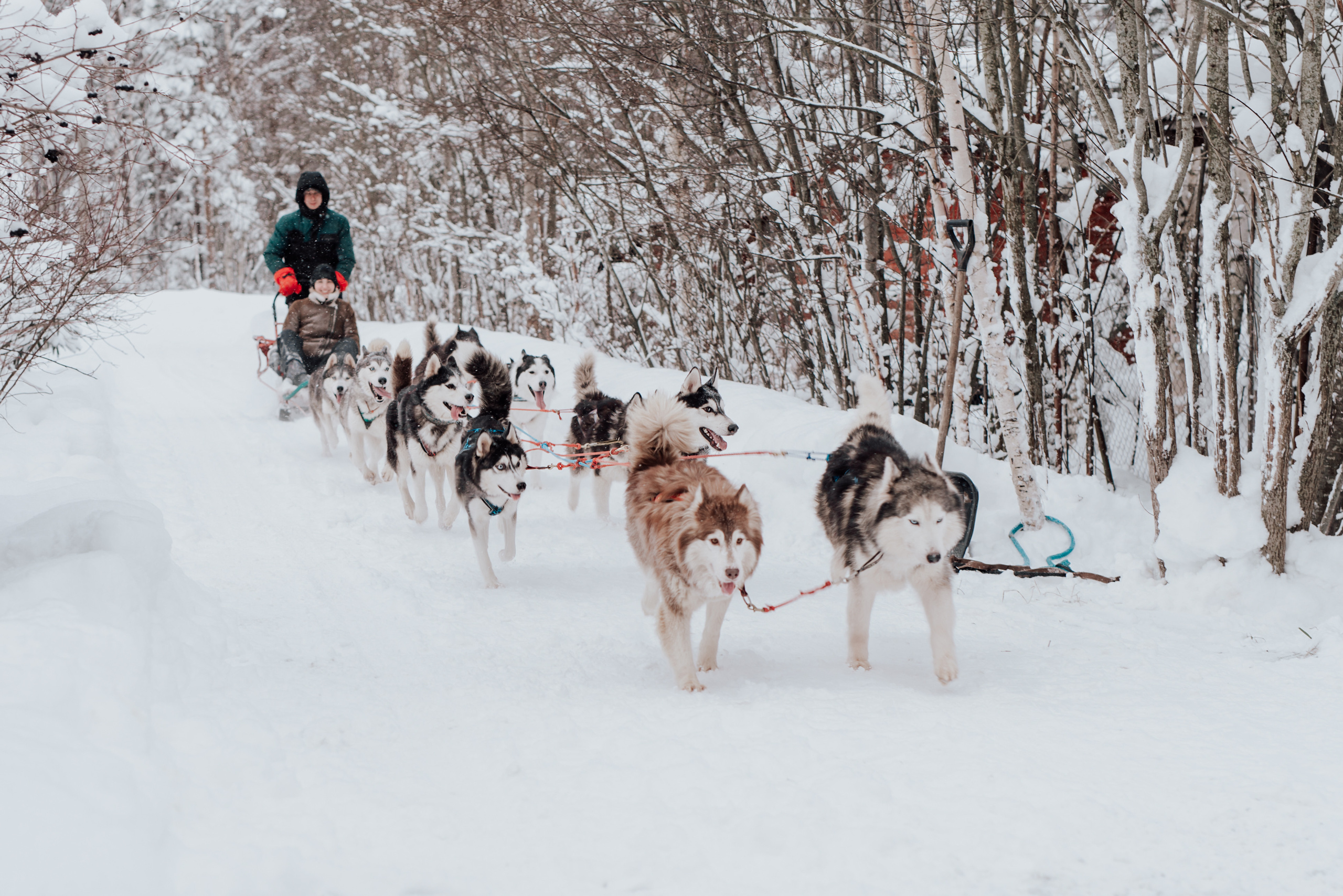 Света. Фотограф в Санкт-Петербурге и Ленинградской области