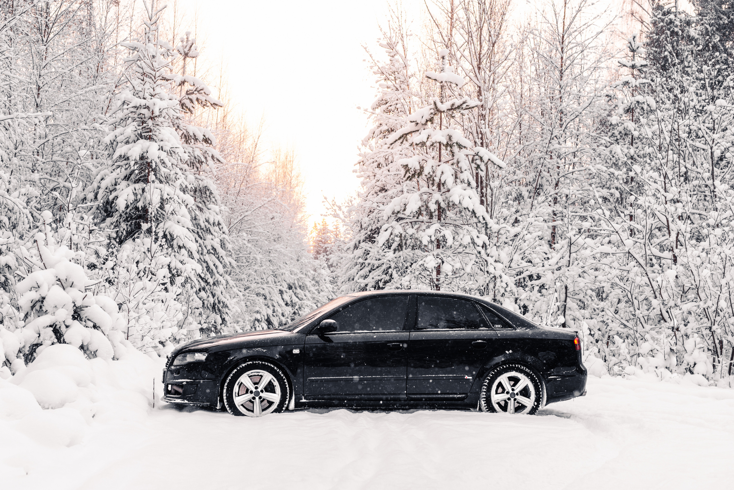 AUDI в лесу. Фотограф в Санкт-Петербурге и Ленинградской области
