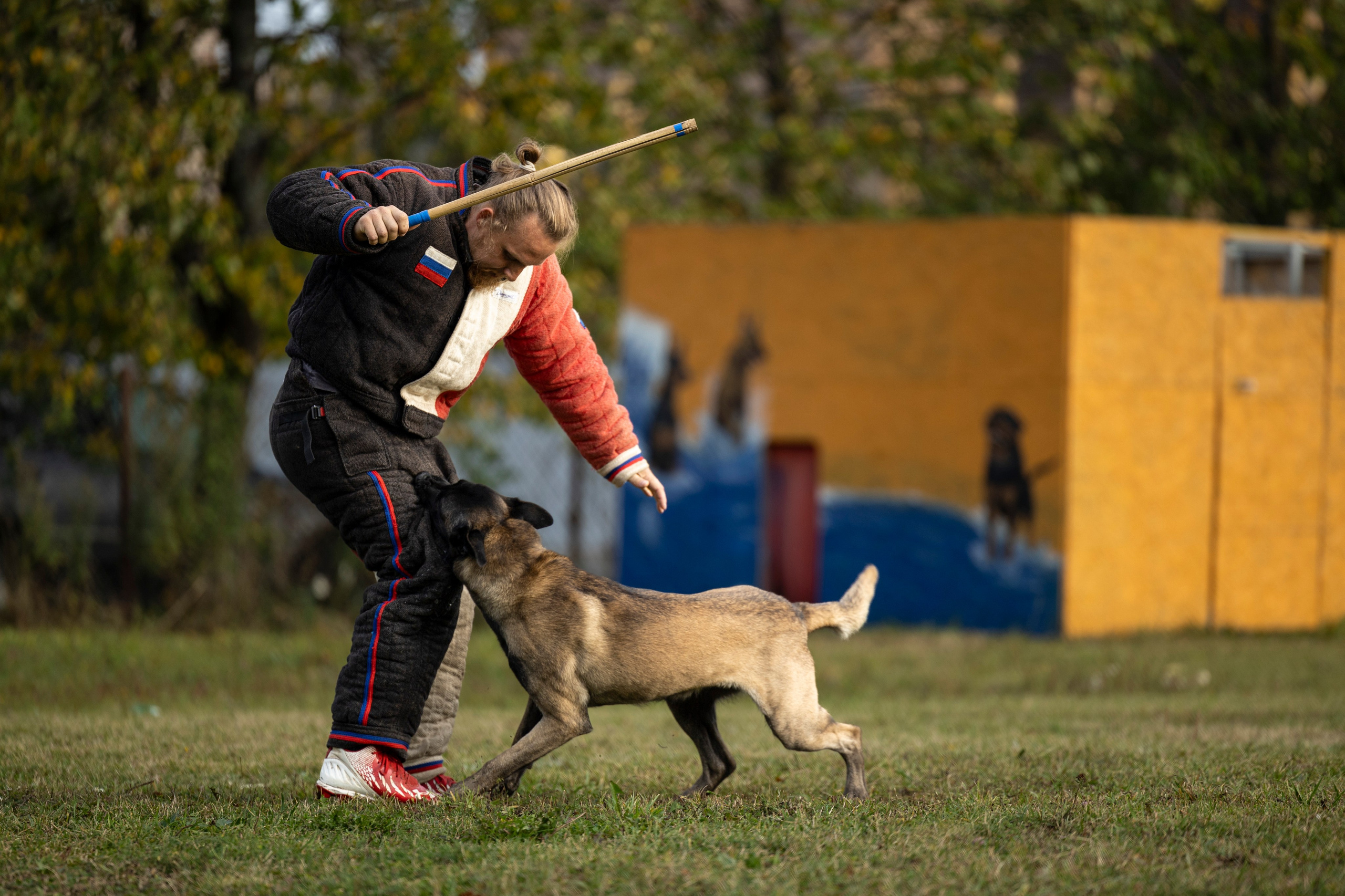 Испытания по Мондьорингу г. Пушкин. Фотограф-анималист Анна Маринич