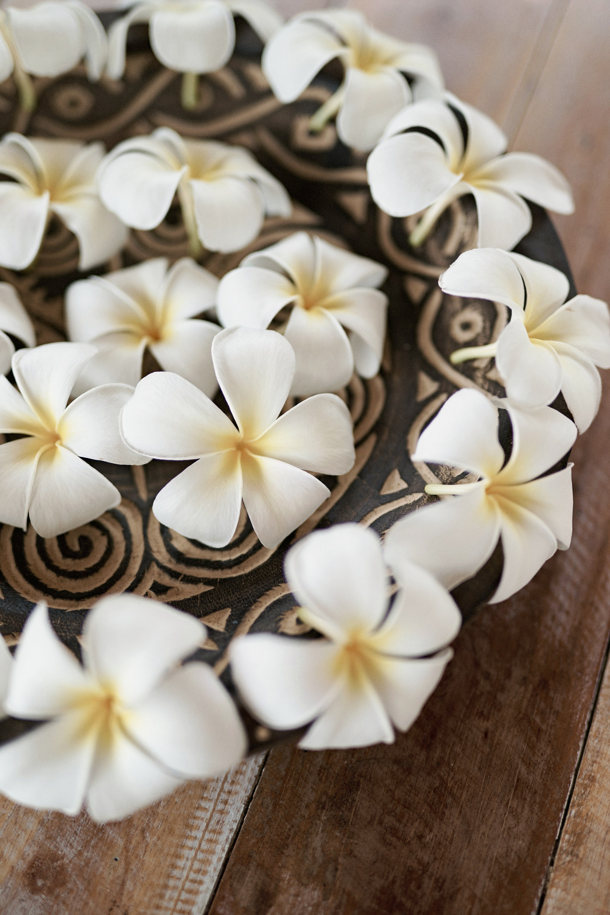 25.10.25 Nataniel & Daniel. Свадебный фотограф Юлия Гусева