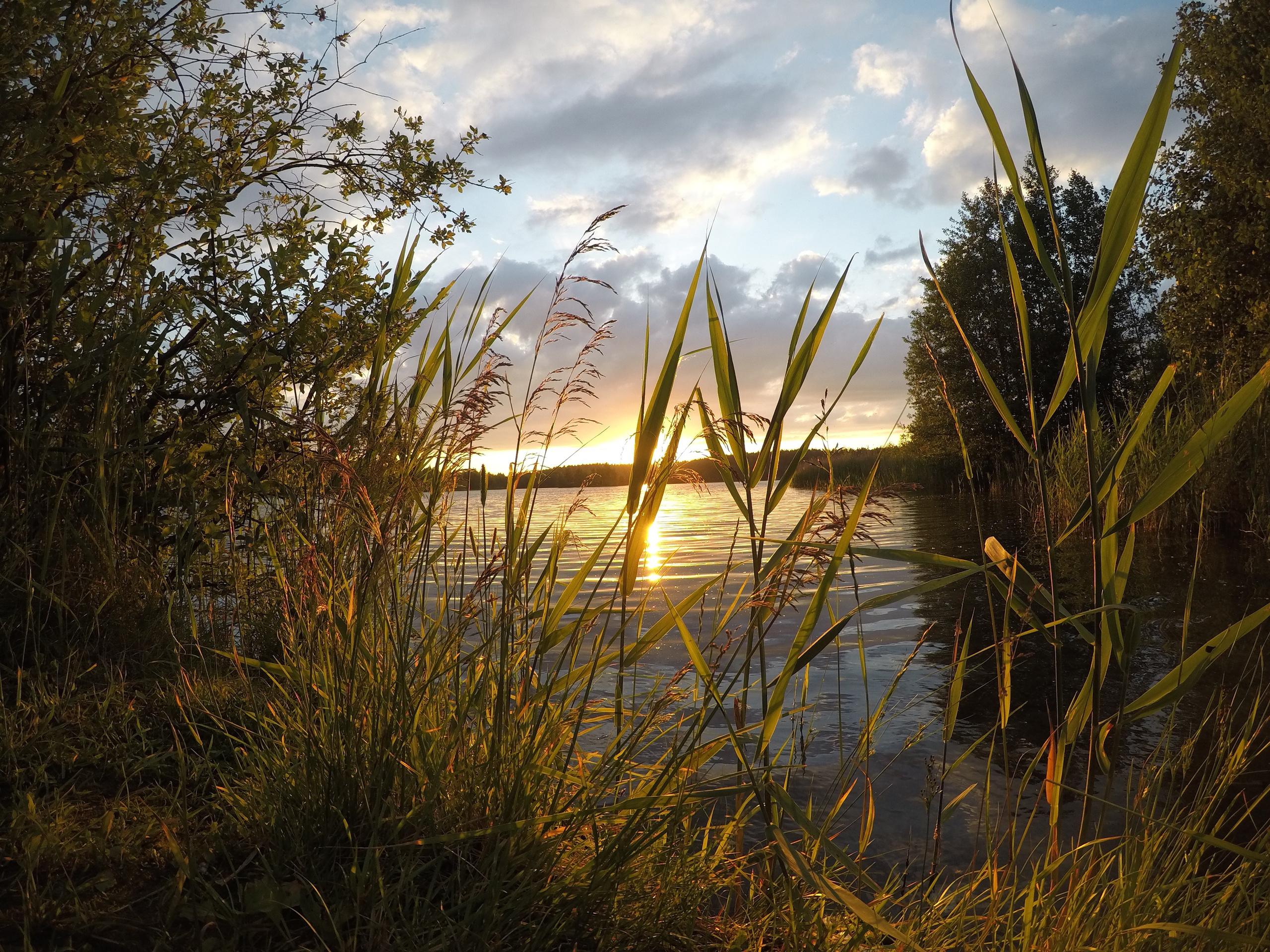 Природа. Polyframe