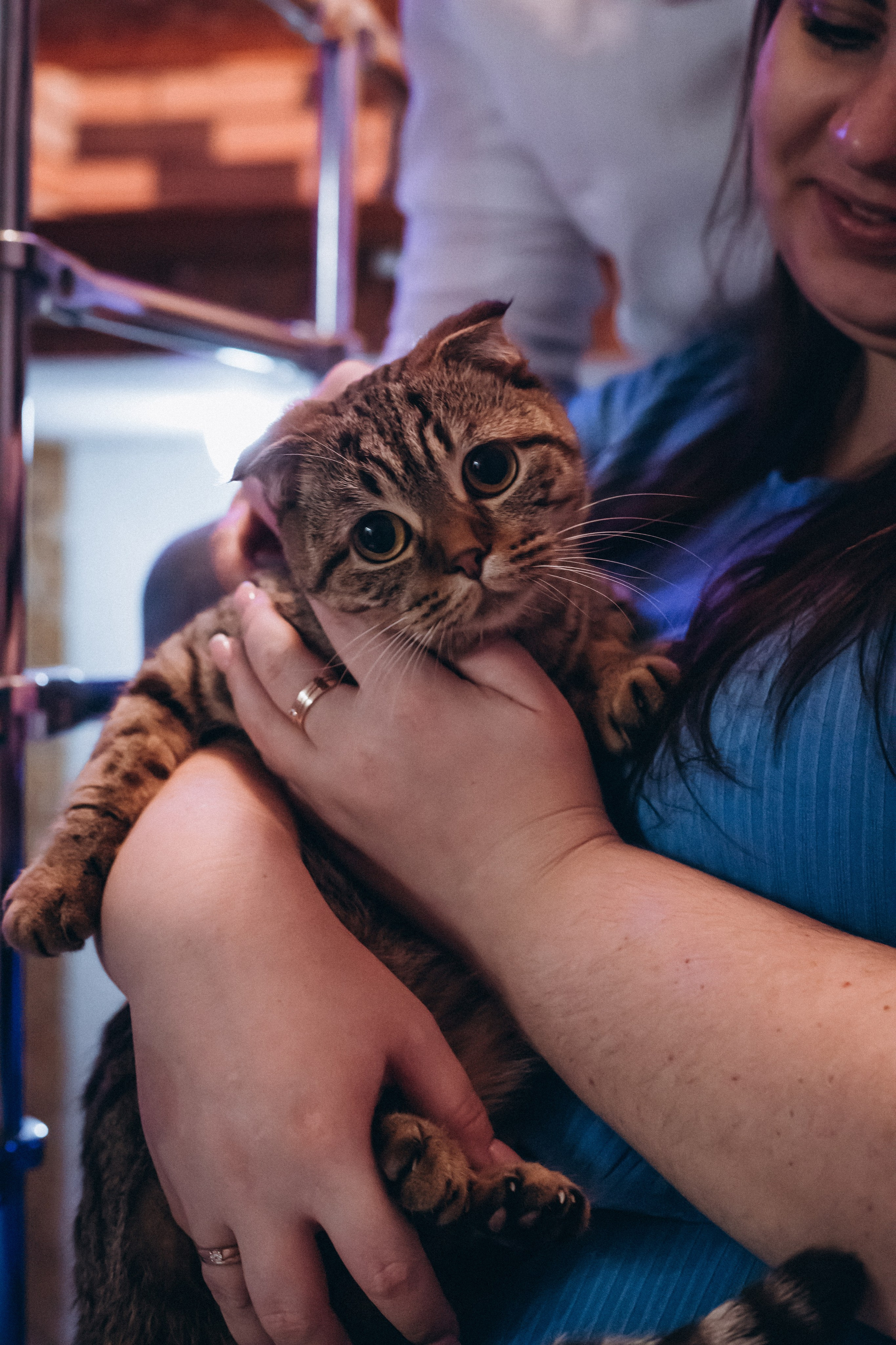 Антон и Ксения. Семейный фотограф Нижневартовск Тюмень Ефимова Ирина