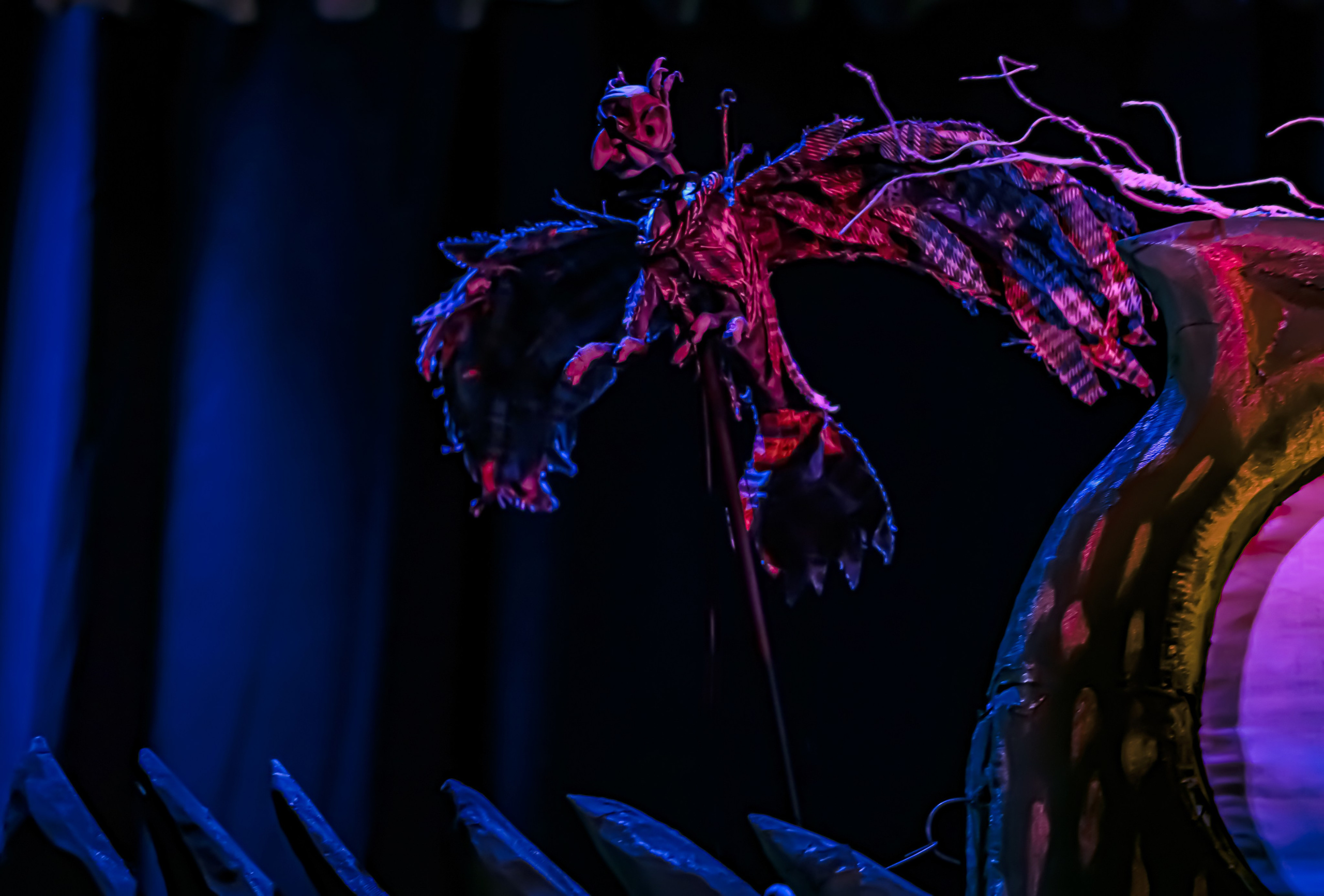 Щелкунчик и мышынный король. Фотограф в Сочи Юрий Шептаев