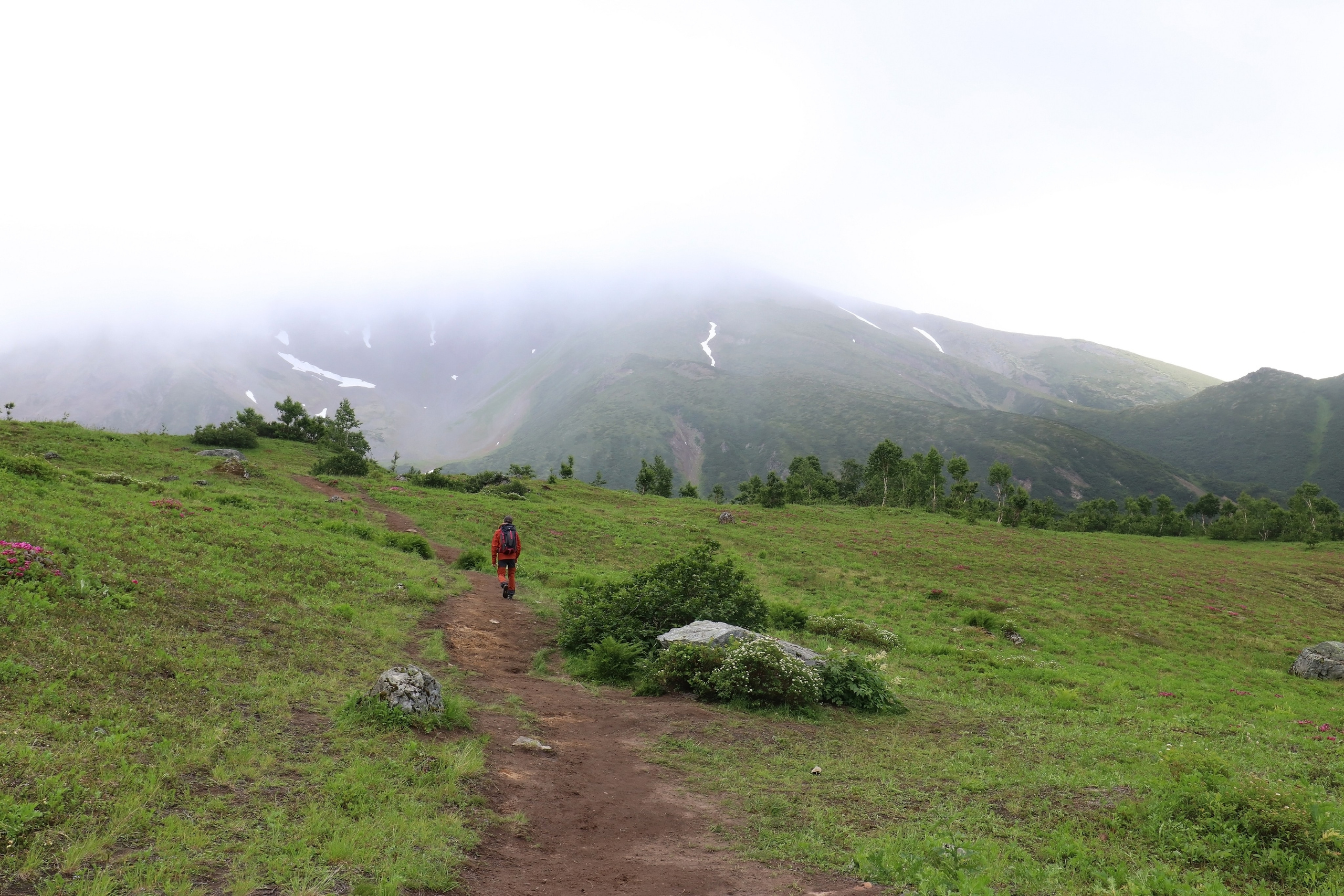 Камчатка и о. Парамушир. Июль 2024. Путешественник-фотограф из Санкт-Петербурга Татьяна Свистулина