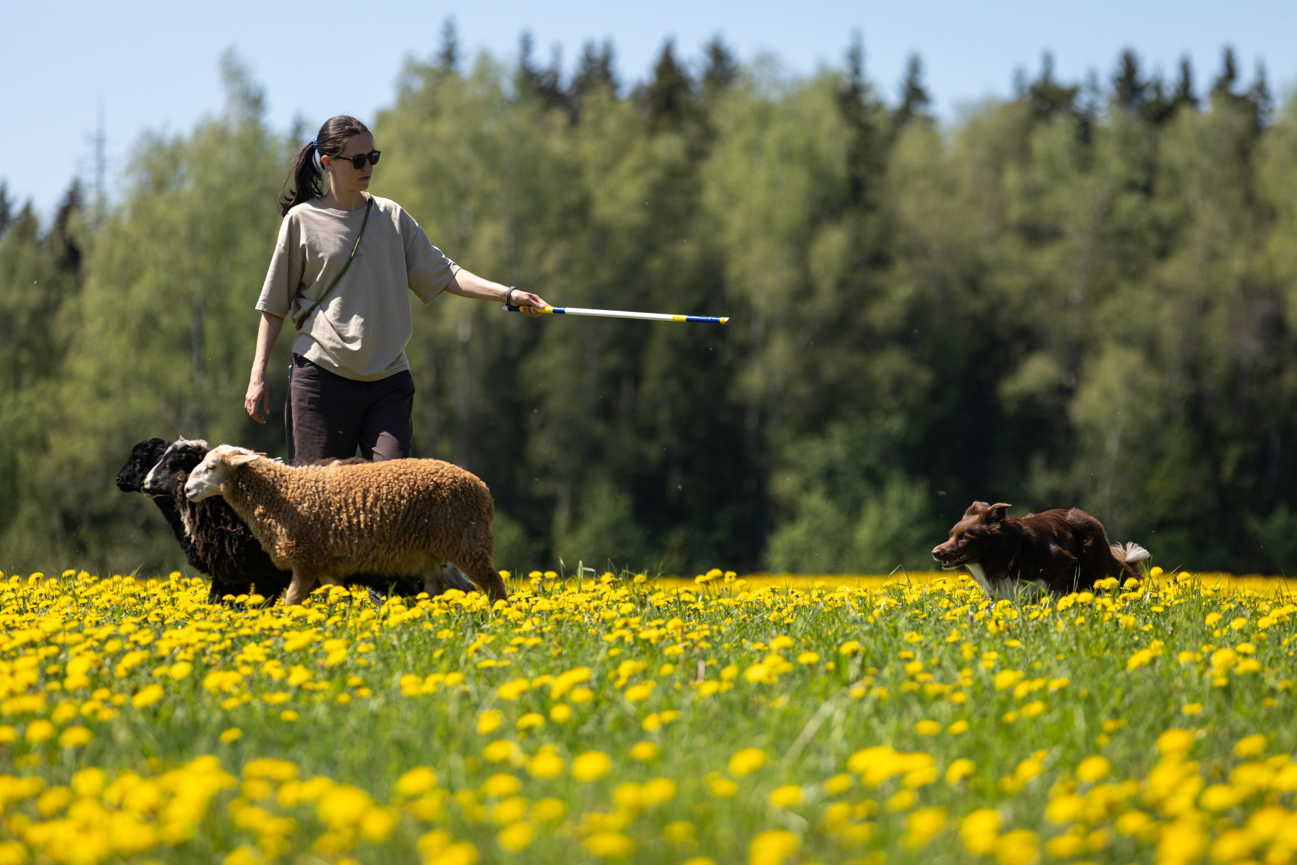Репортажная съёмка спортивных мероприятий. ESHE_PHOTO Фотограф в Москве и Московской области