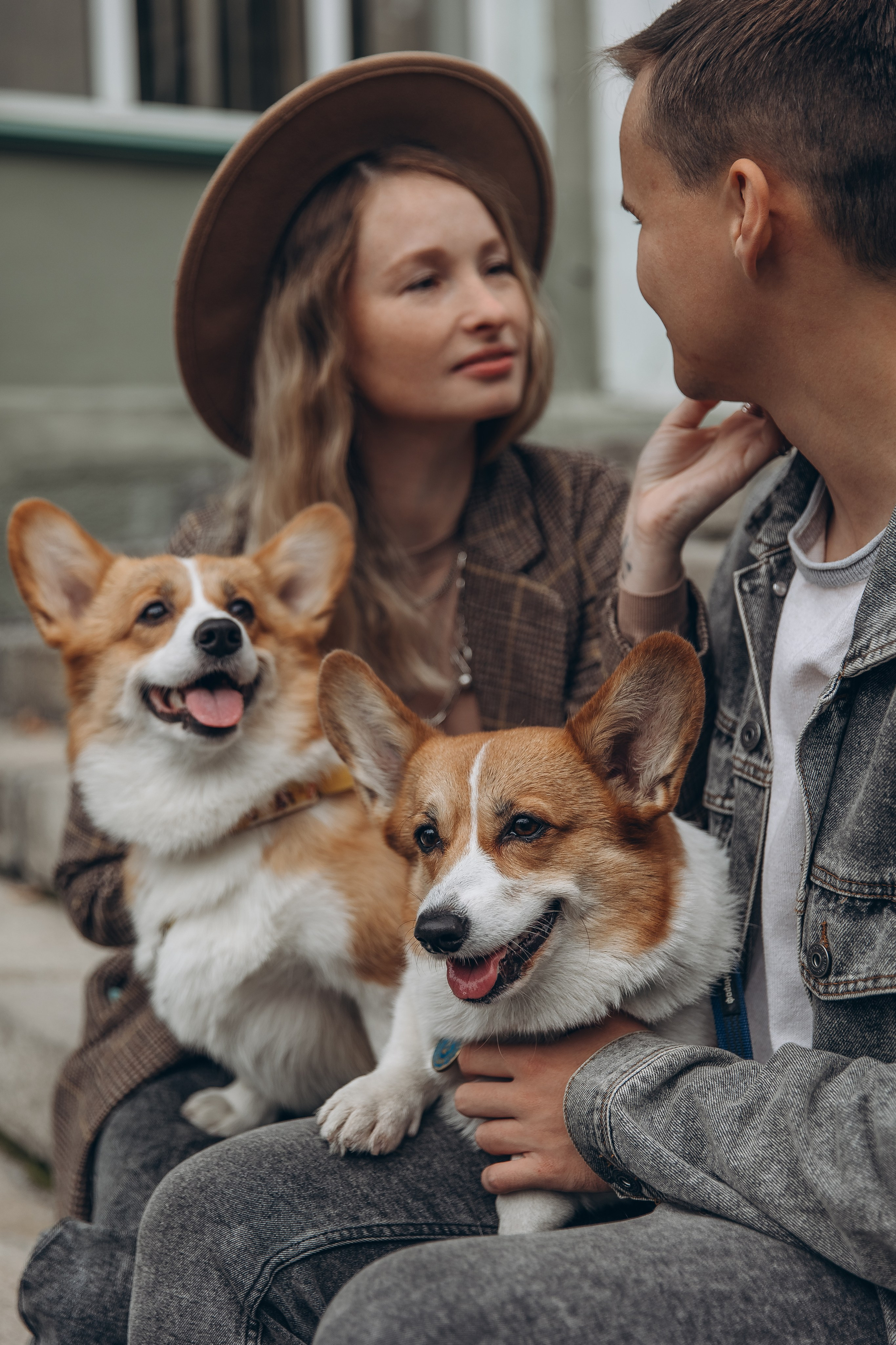 «Королевский Корги» 2. Фотограф Алина Ионычева в Новосибирске