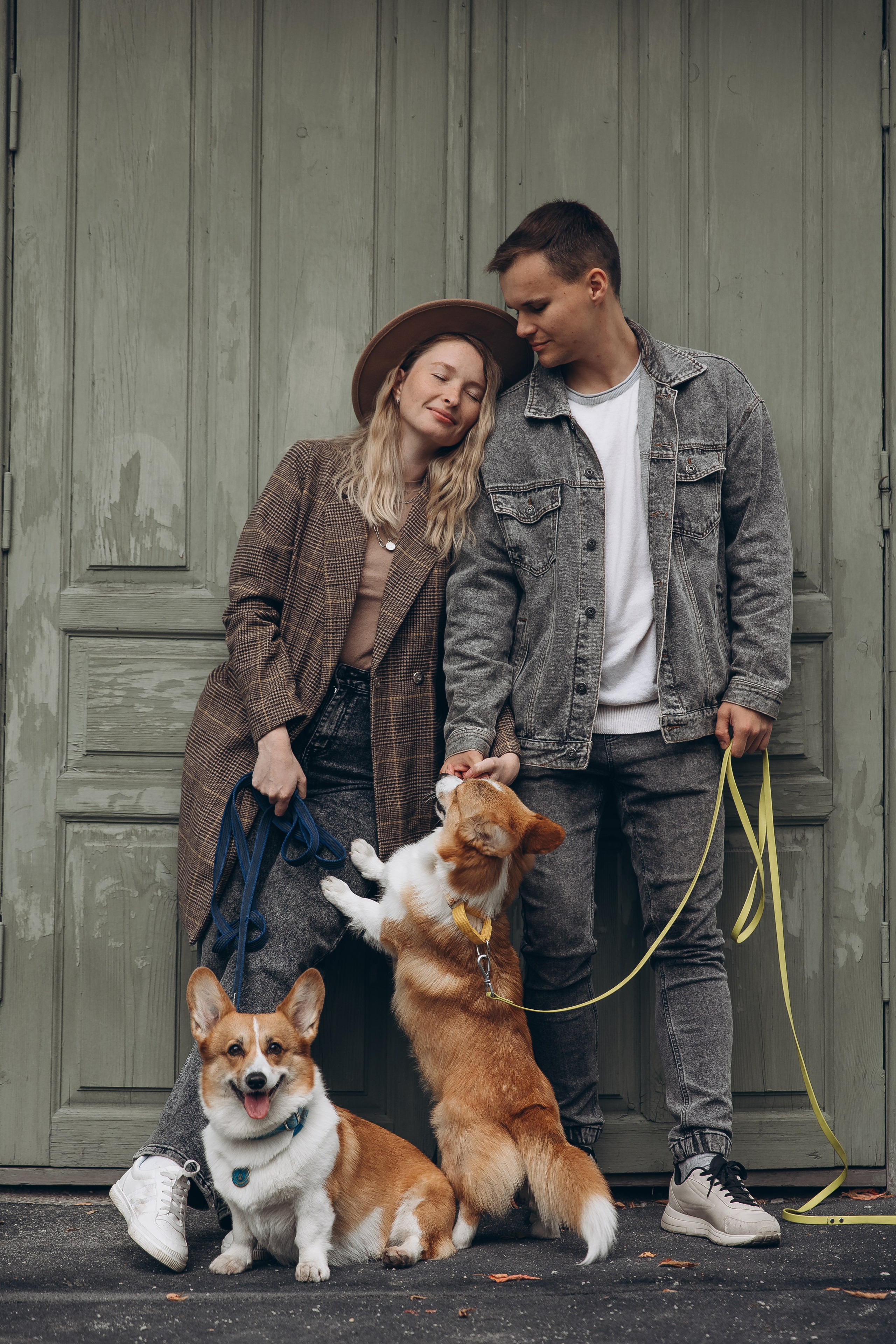 «Королевский Корги» 2. Фотограф Алина Ионычева в Новосибирске