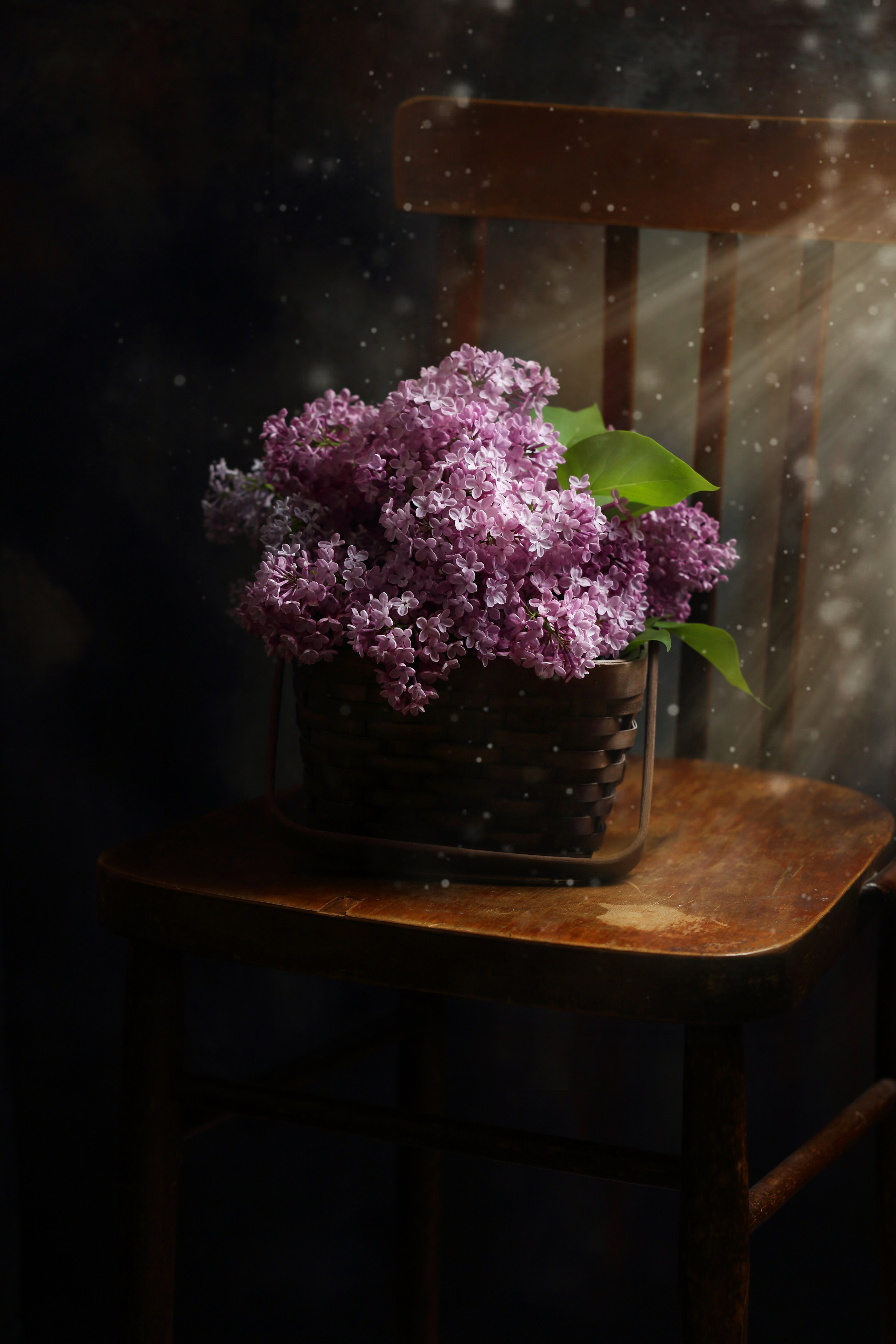 Творческие проекты. Фуд-фотограф Оксана Голева