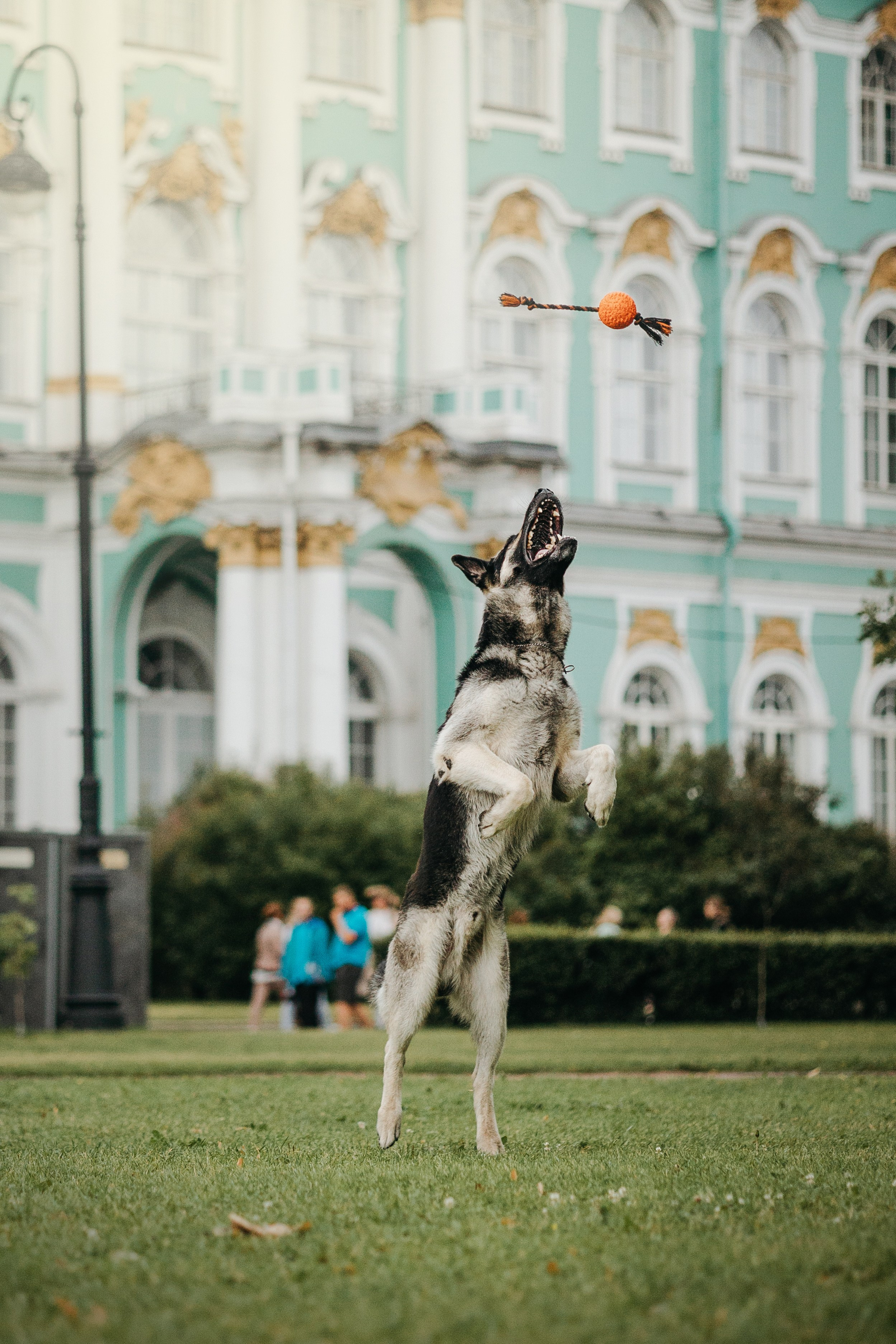 Рей и Ксения. Фотограф — Анималист | Санкт-Петербург