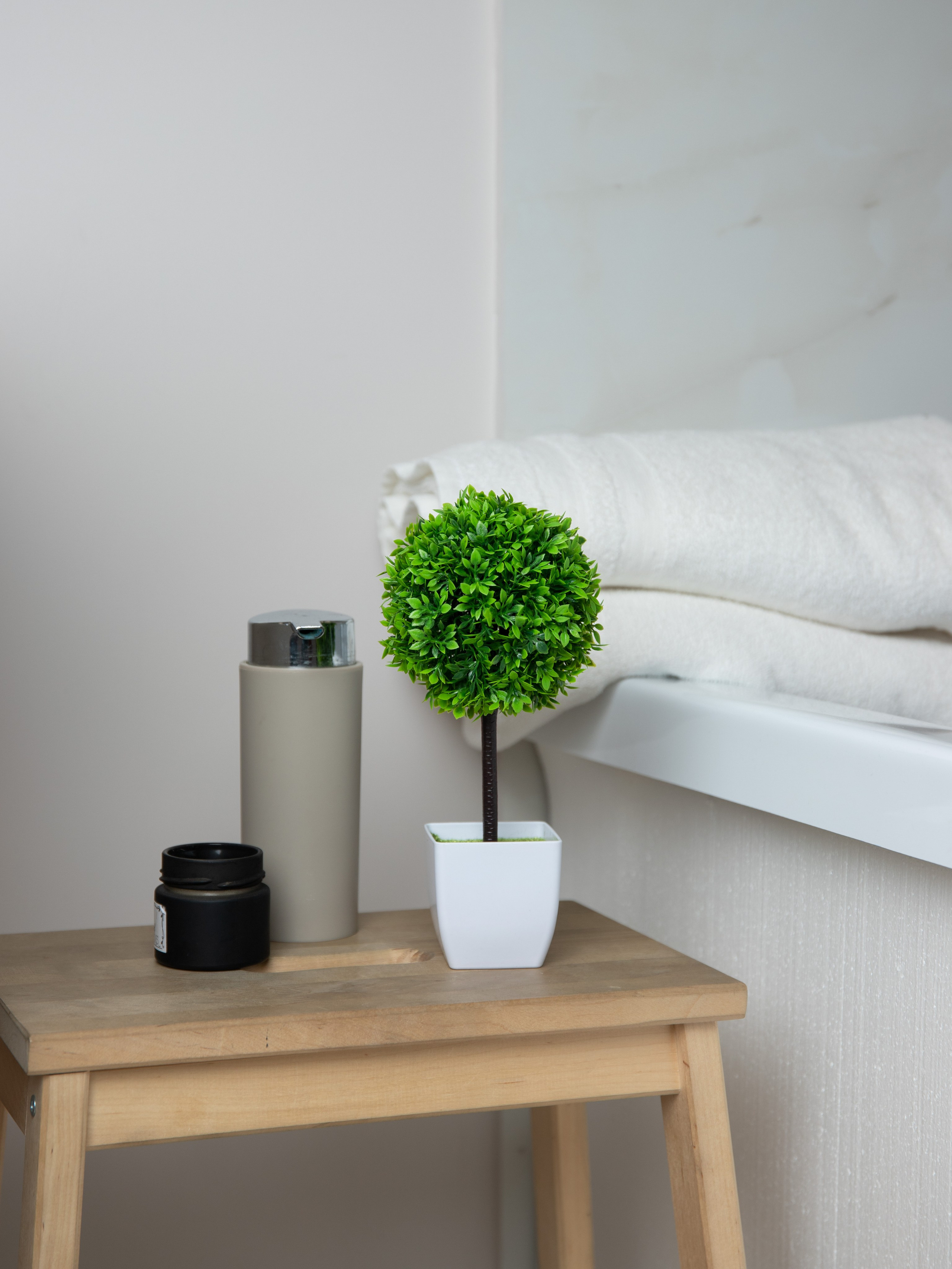 Декоративные деревья. Коммерческий фотограф в Санкт-Петербурге (СПб) Екатерина Панчёха, Панчёшка