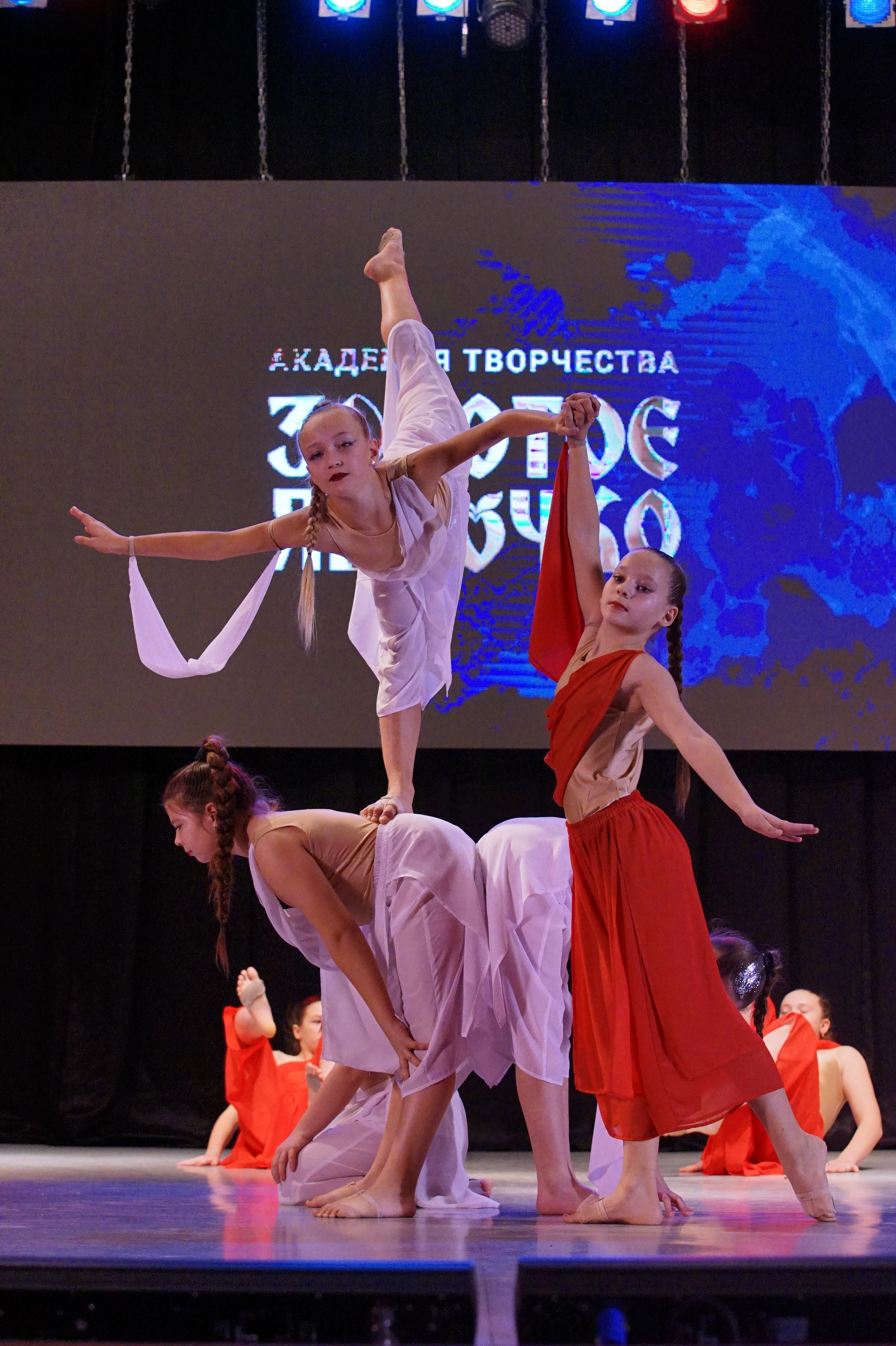 17 ноября, г. Новосибирск. Золотое яблочко