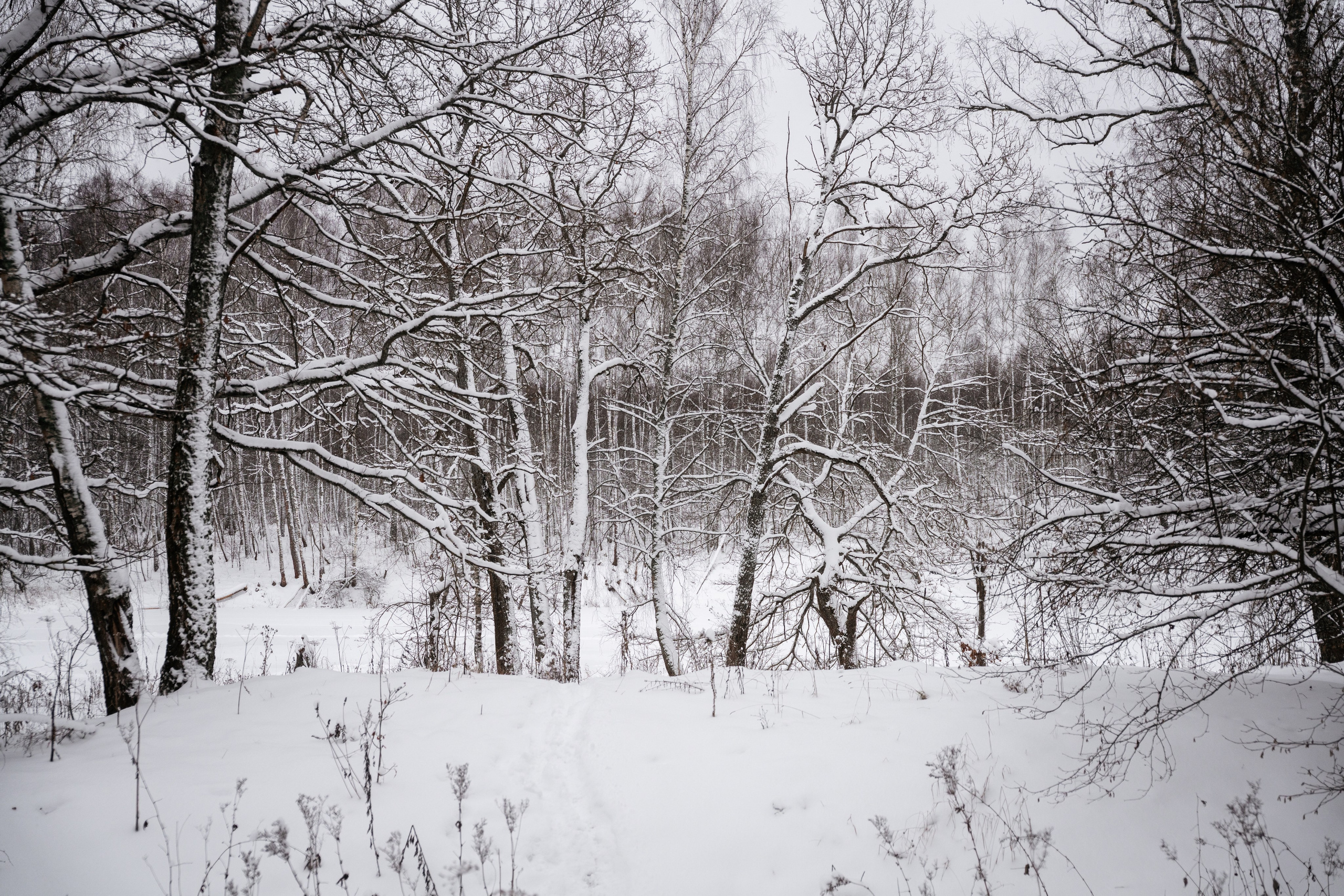 Поездка к р. Песочня и деревне Раевское. Vlad Trykov