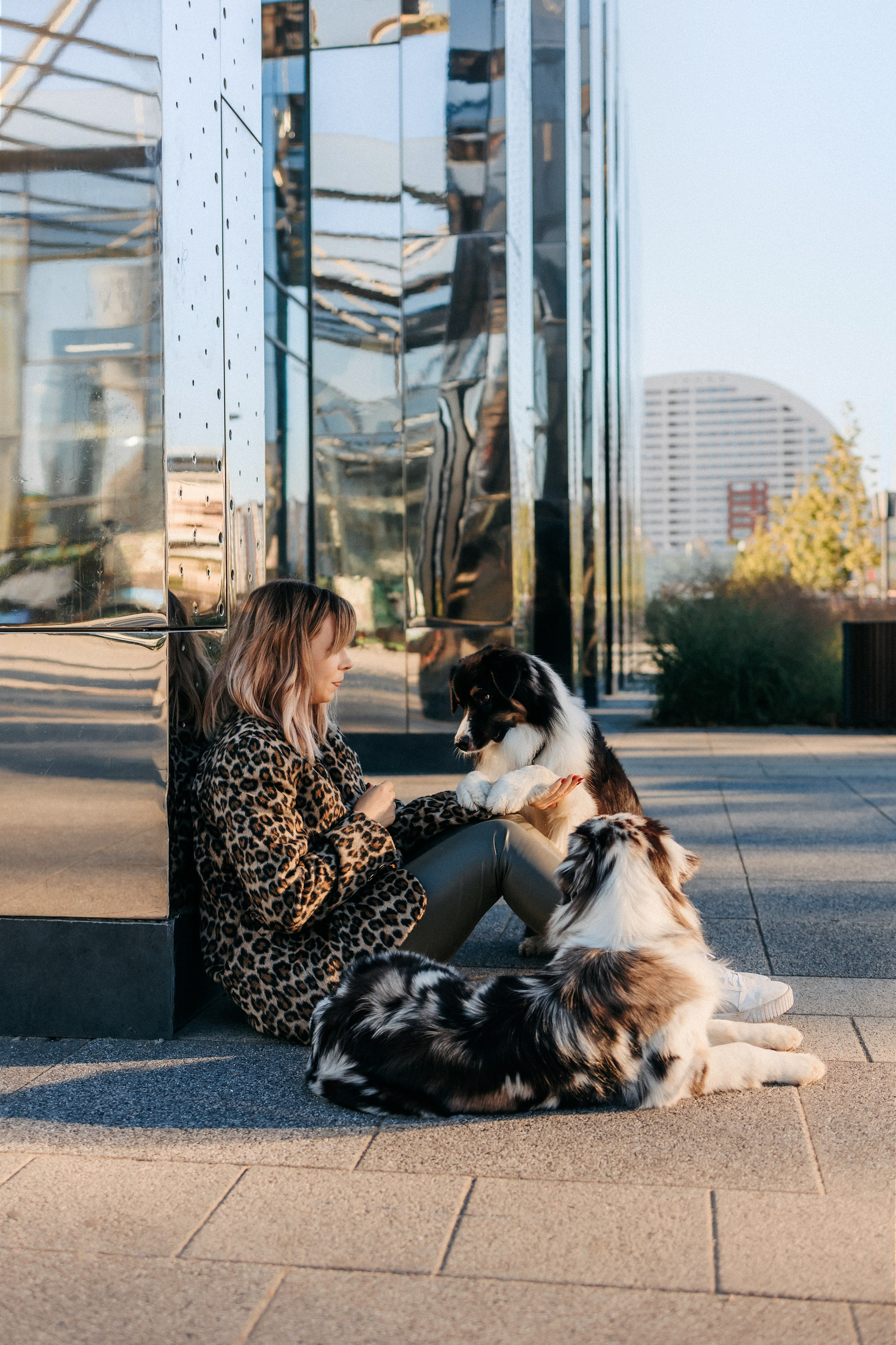 Аня, Чарли и Ева. Фотограф-анималист Елена Радченко, Москва