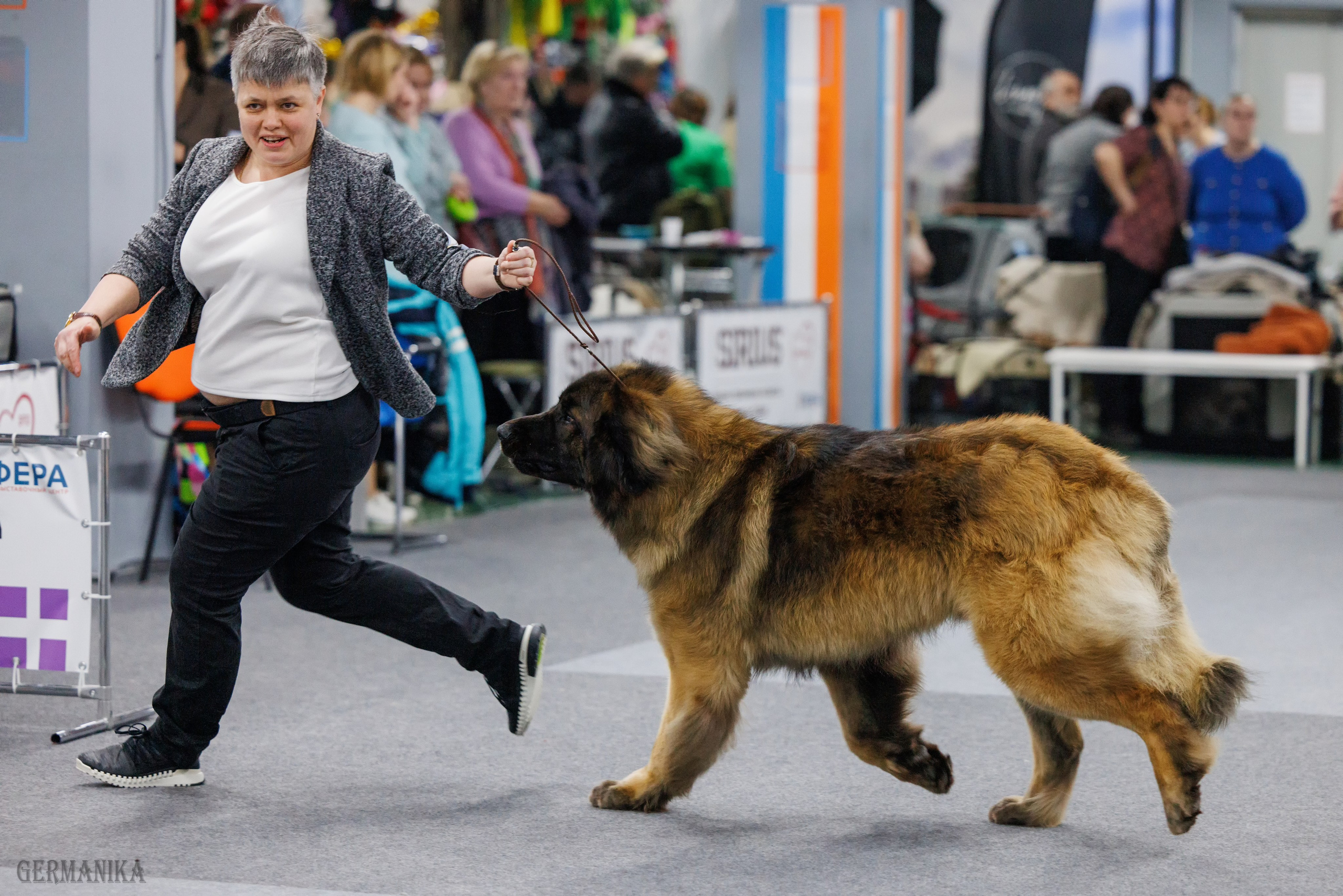 Сфера 28.01. и 4.02.2024. Фотограф-анималист Юлия Германика