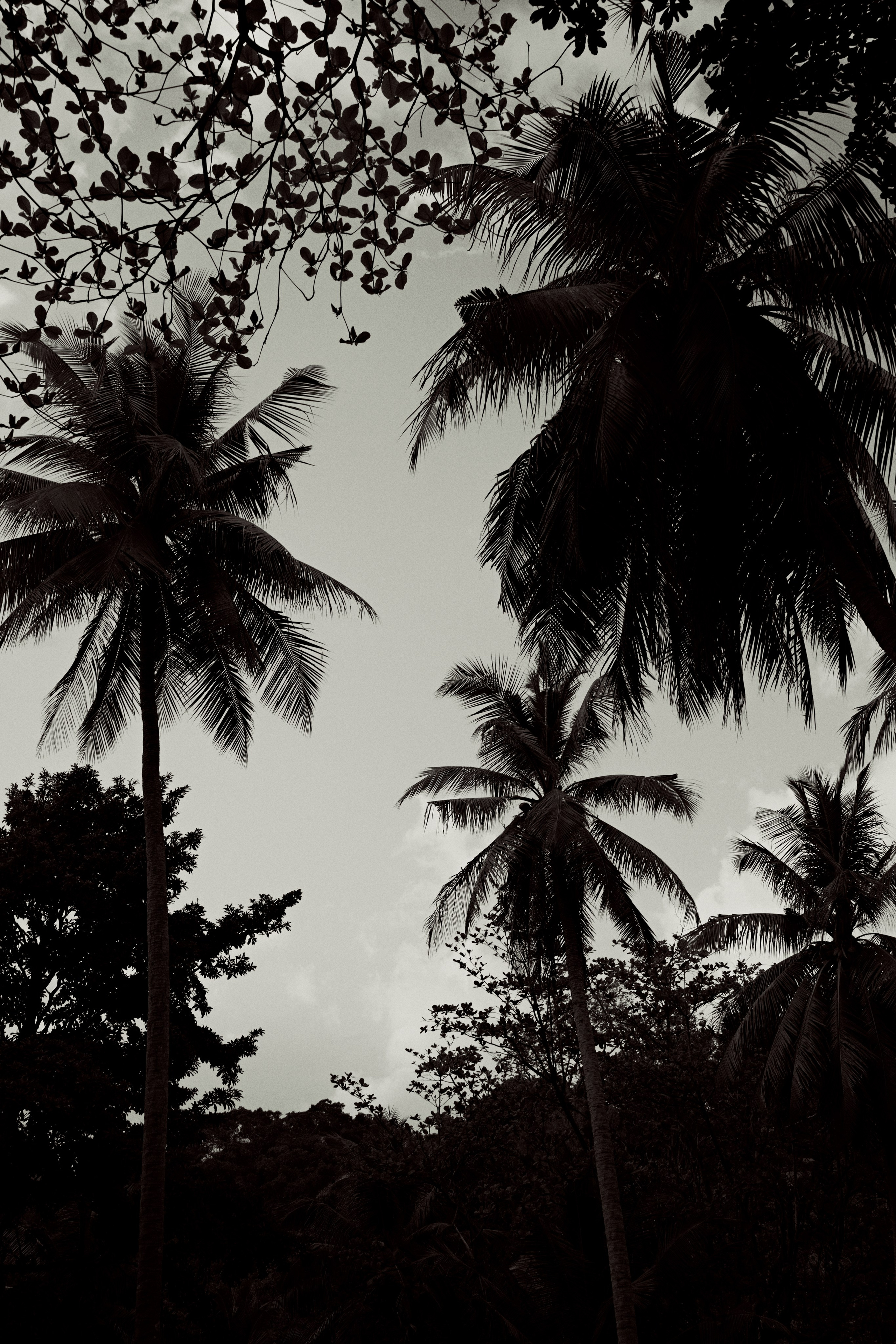 ТАИЛАНД. Студийный фотограф в Екатеринбурге Бшари Заана