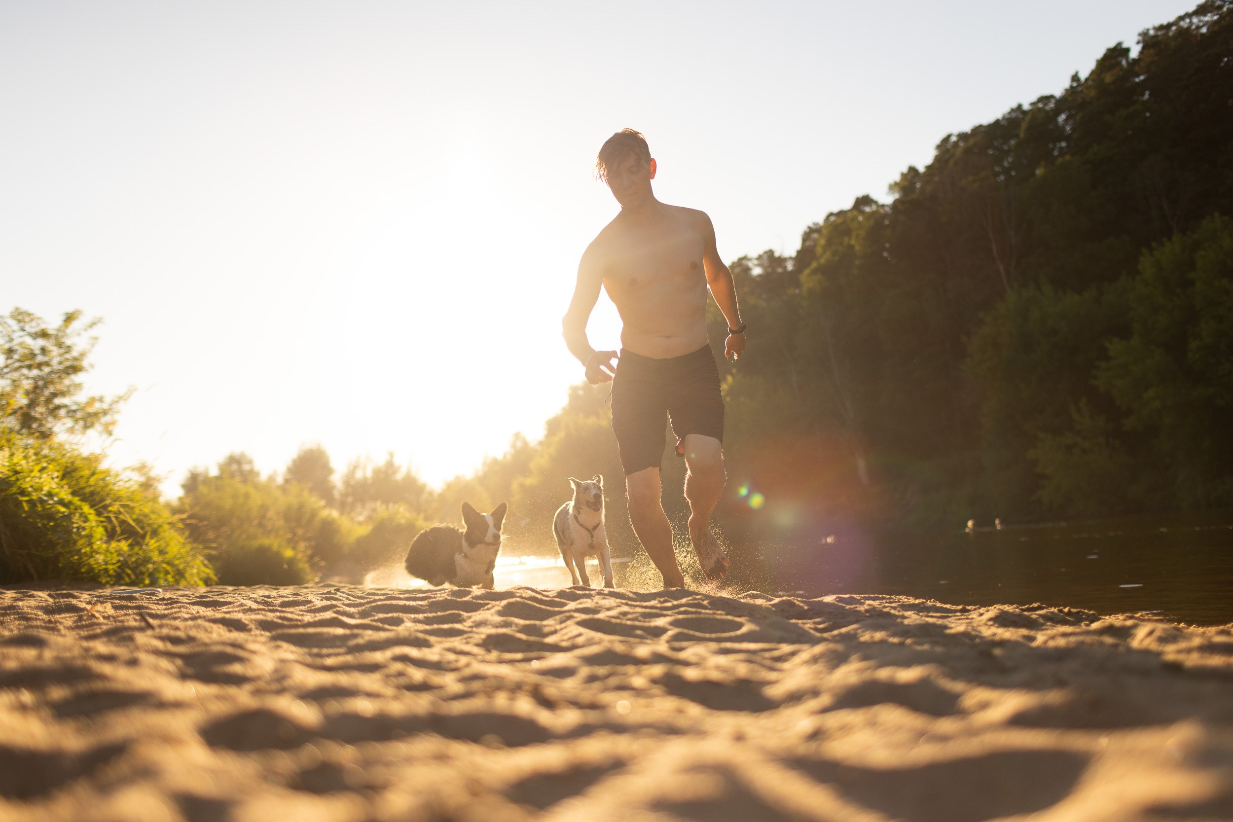 Купание щенков в стиле лайфстайл. Фотограф-анималист в Москве и Московской области Татьяна Фролова