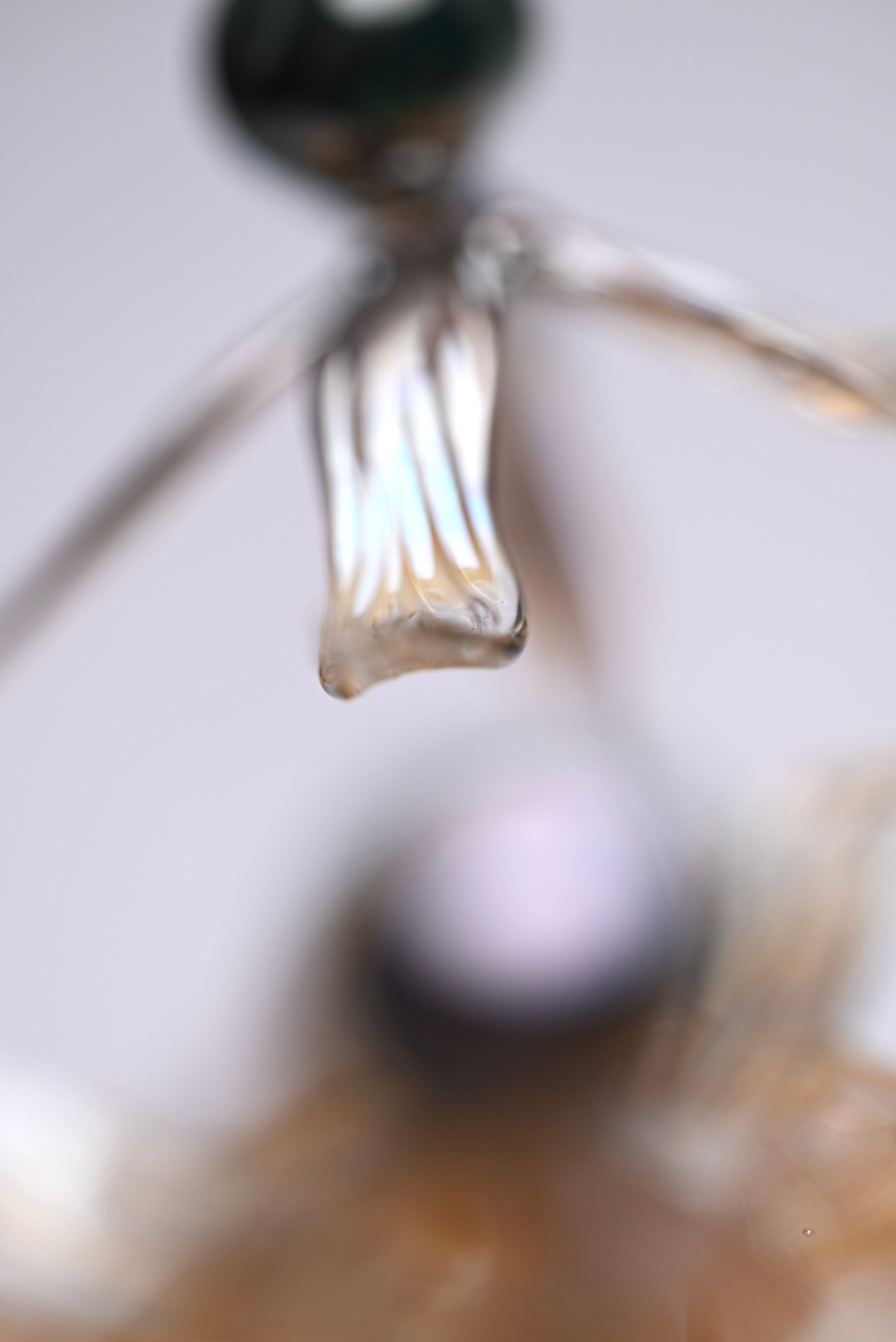 Вороний глаз. Главная