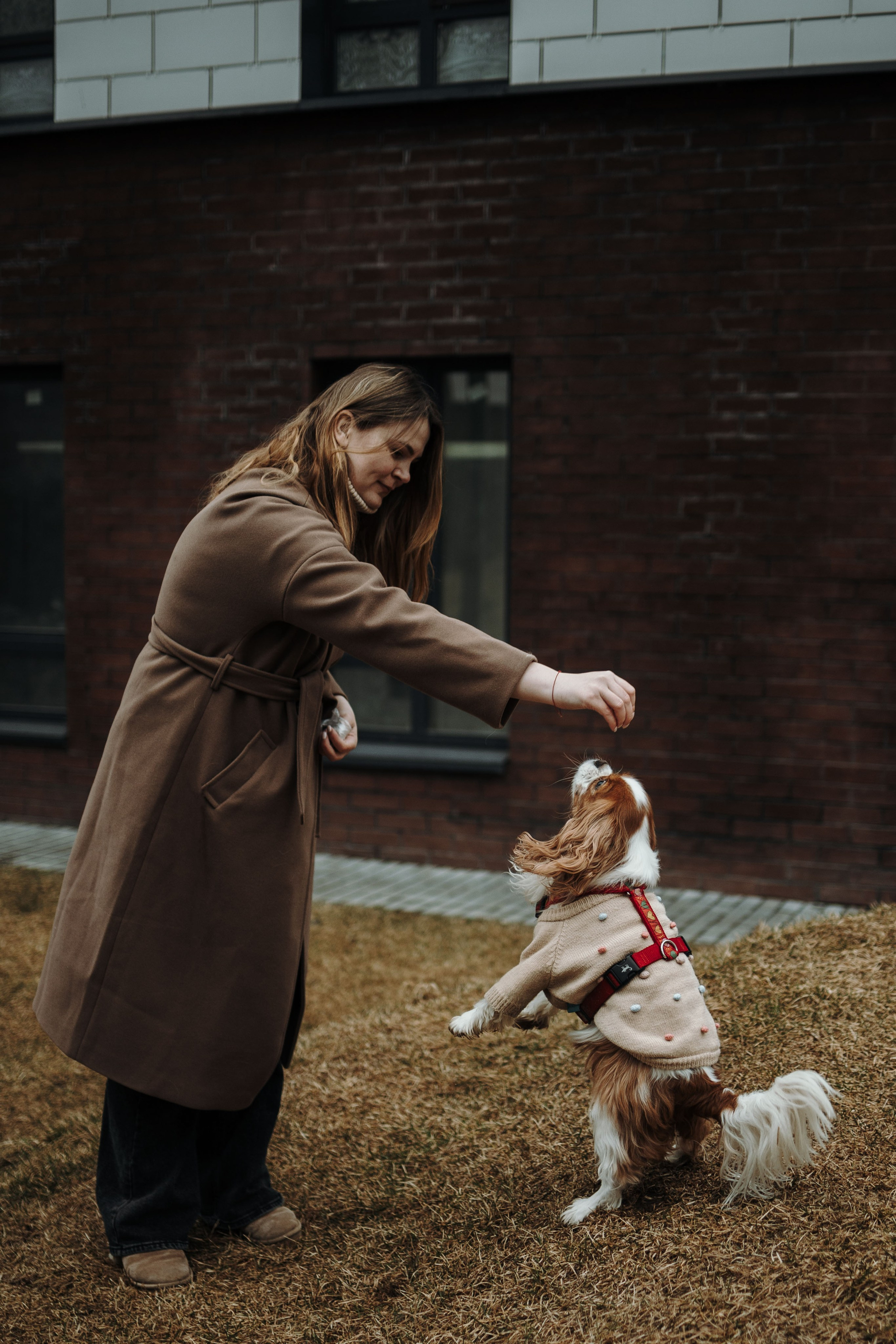 Любовь и Альтаир