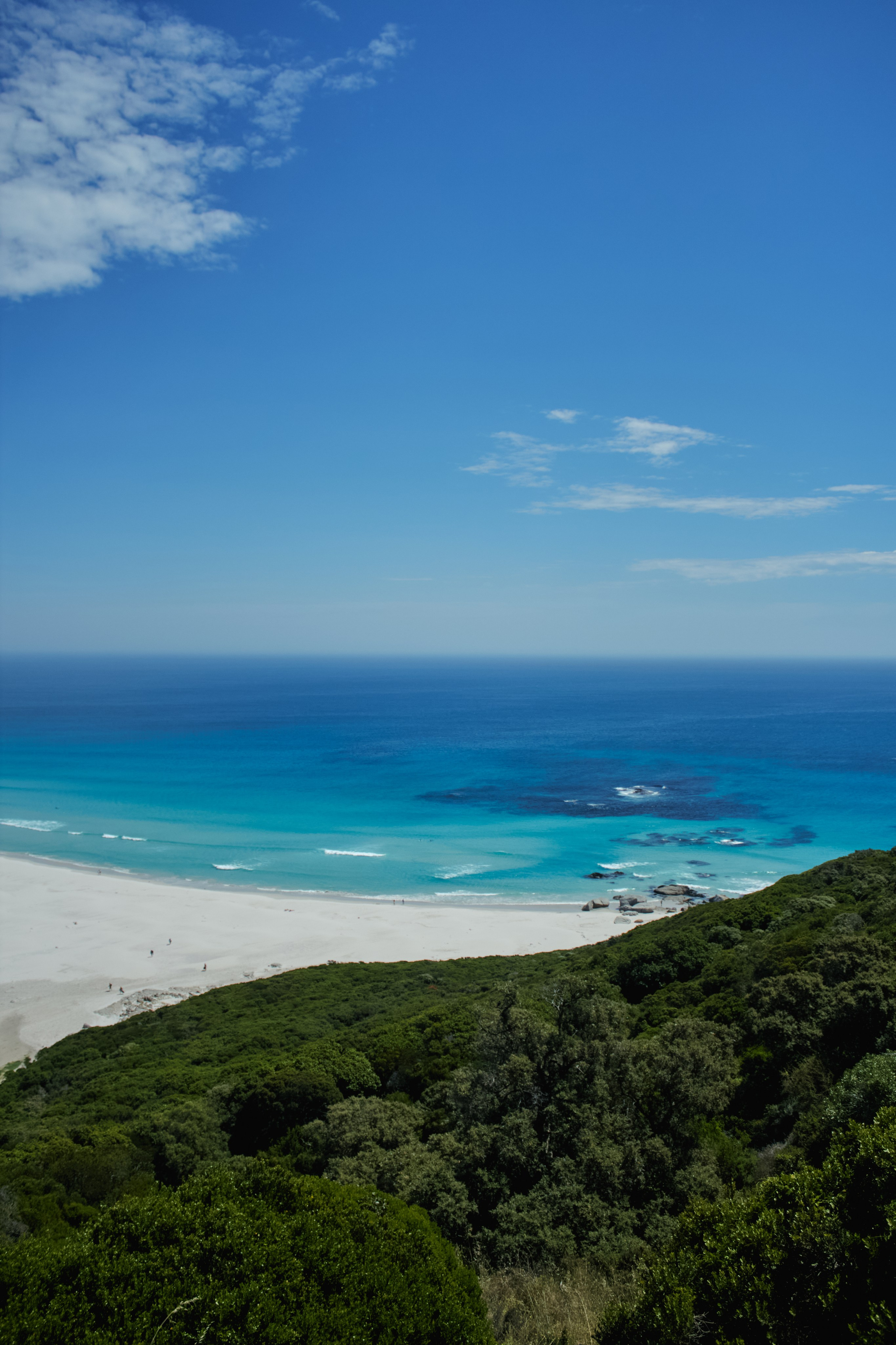 ЮАР. Профессиональный Фотограф во Владимире, в Москве и в Суздале — Полина Романычева