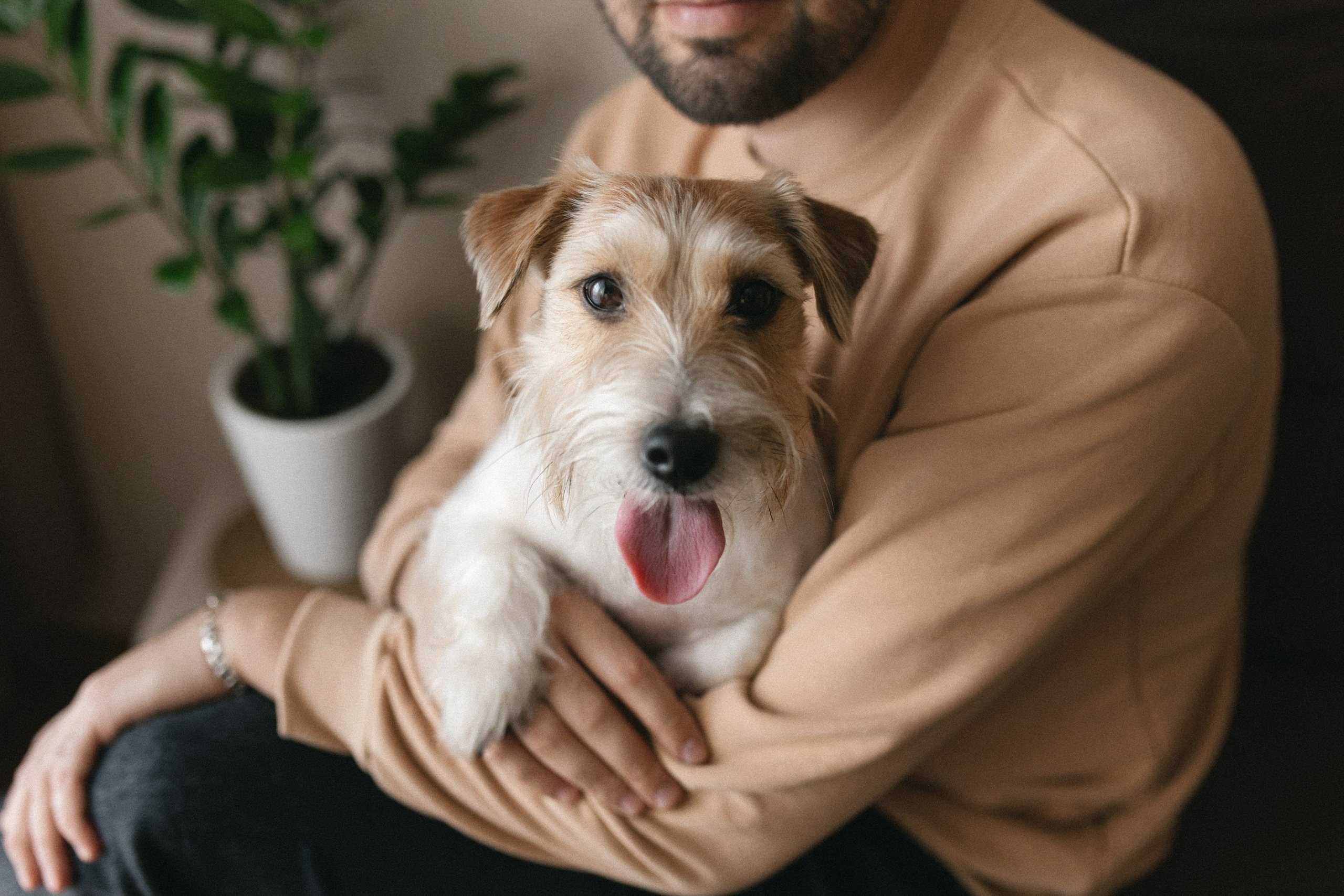 «ТРОЕ В ДОМЕ, НЕ СЧИТАЯ СОБАКИ». Maria Startseva Photo
