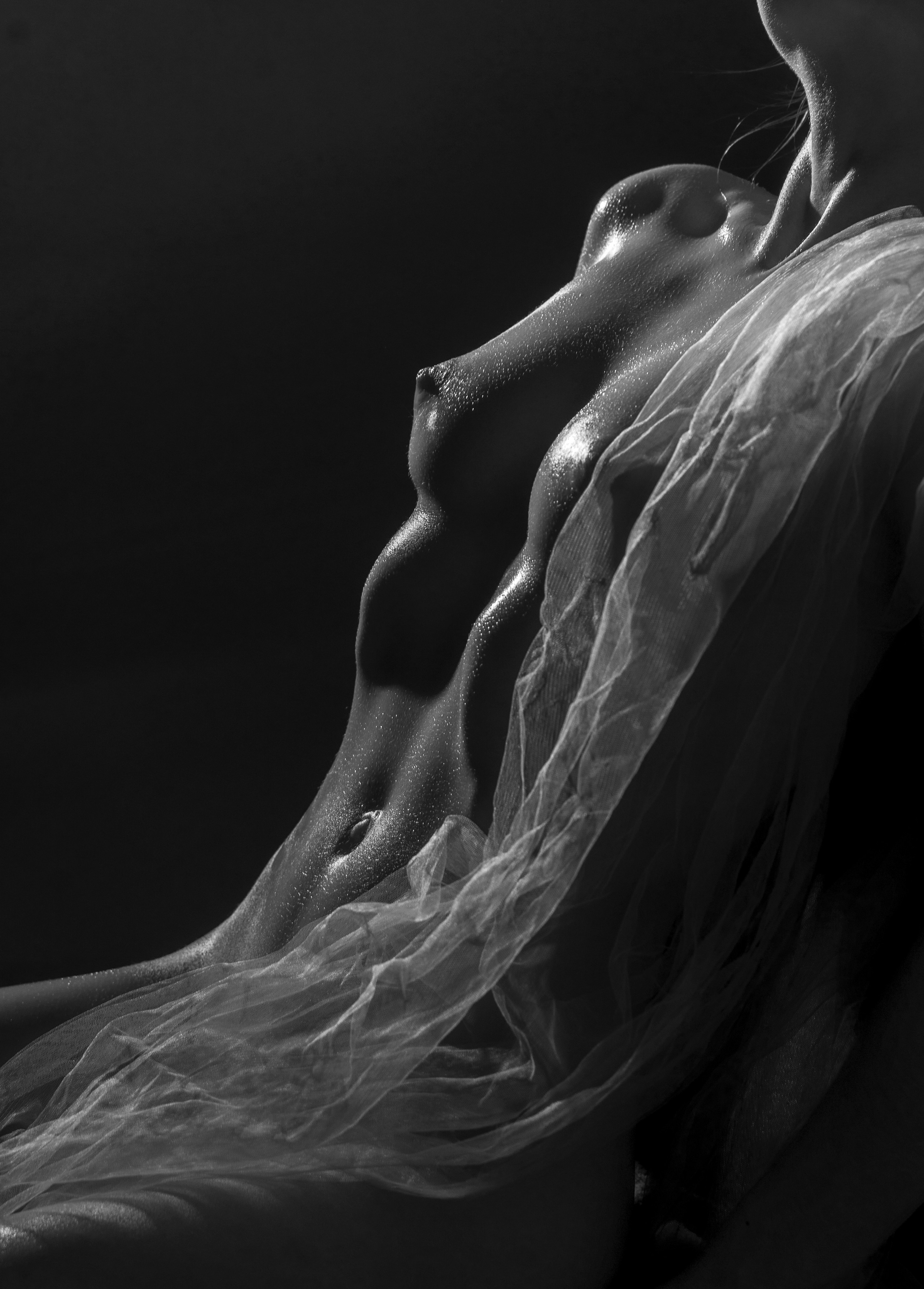 Арт-ню. Арт-ню Н.Новгород/Москва