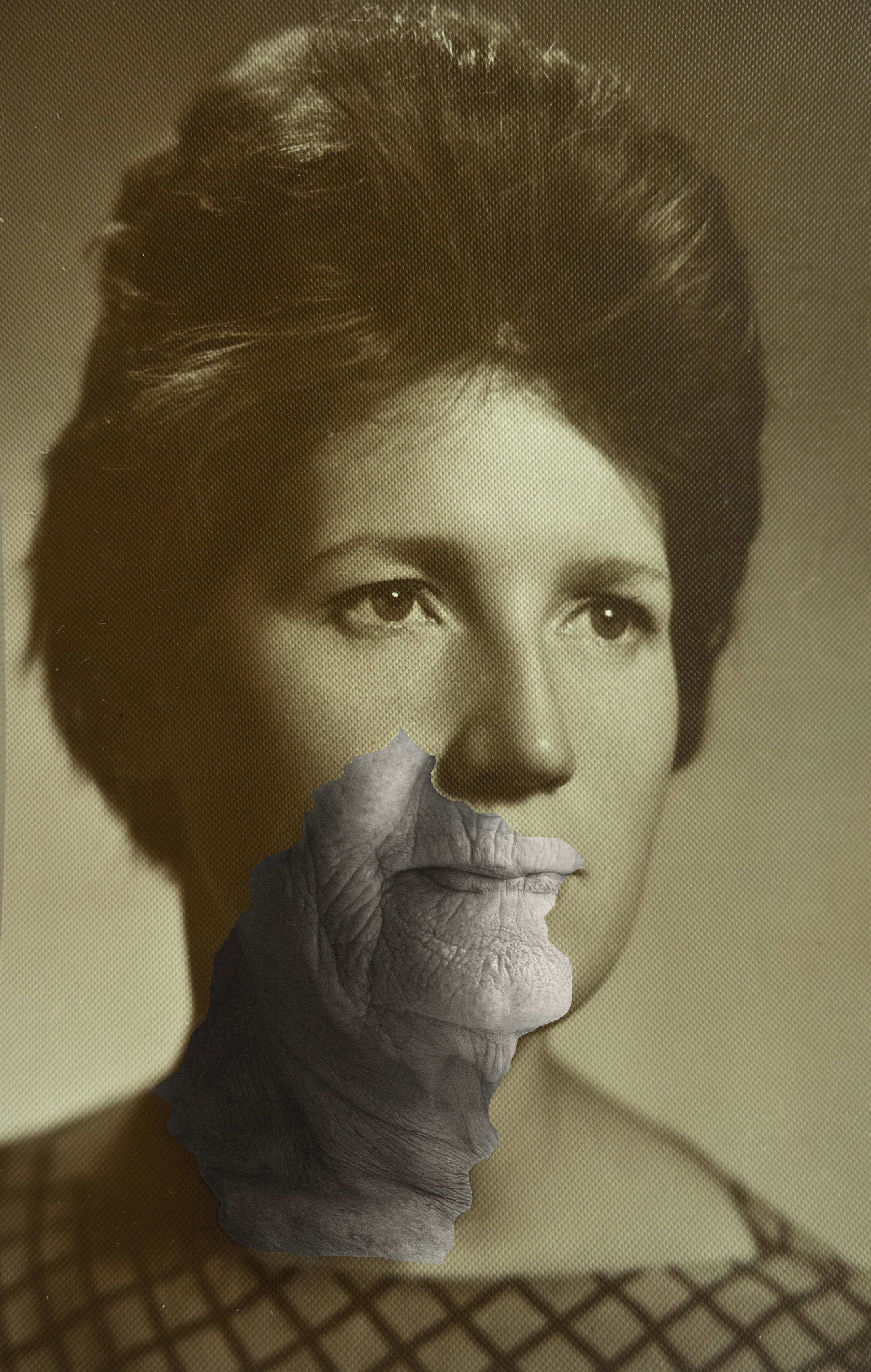 Фотосессии пожилых людей