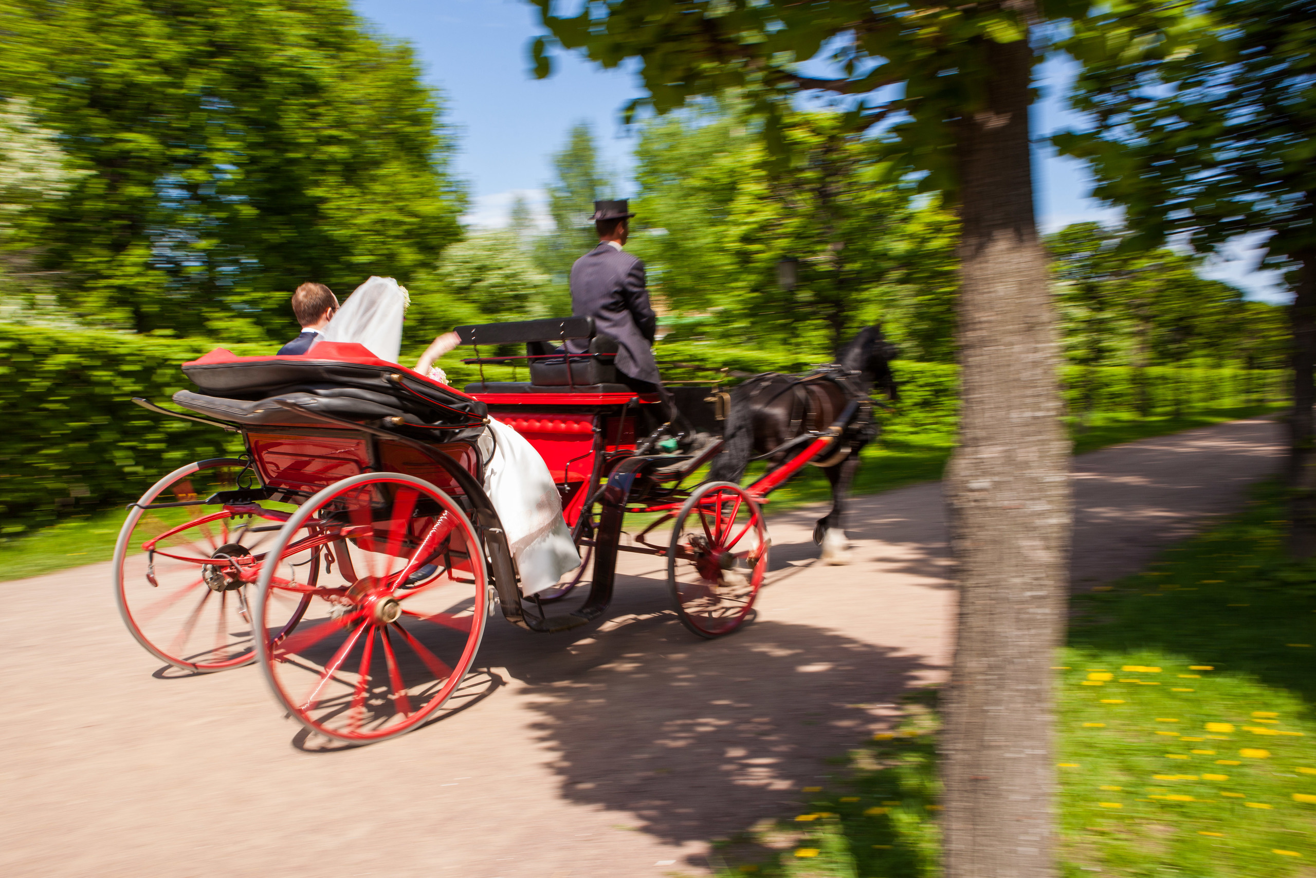 Свадебный фотограф Москва, Николай Завьялов. Видеооператор/Фотограф Николай Завьялов