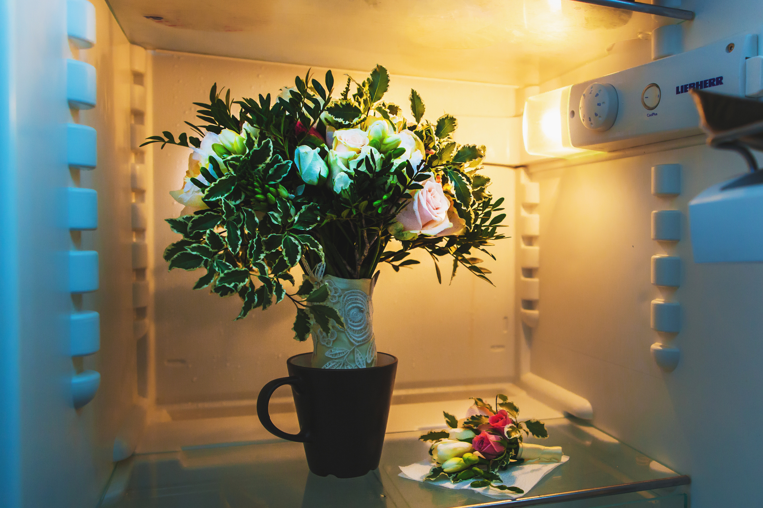 Свадебный фотограф Москва, Николай Завьялов. Видеооператор/Фотограф Николай Завьялов