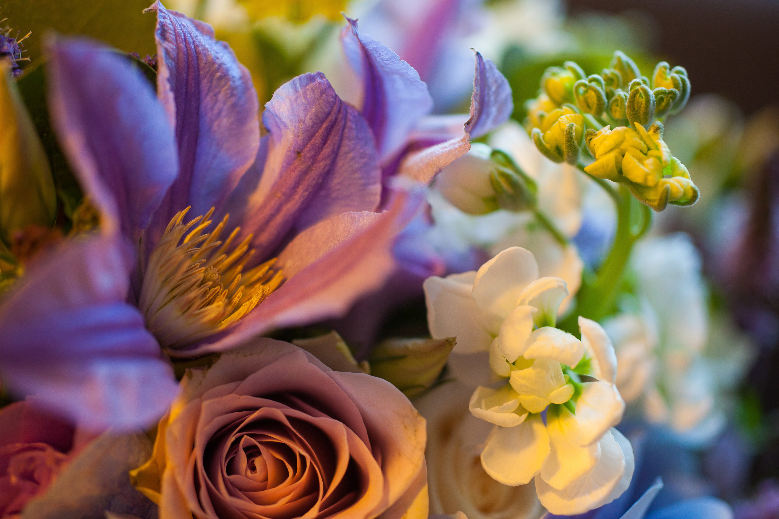 Свадебный фотограф Москва, Николай Завьялов. Видеооператор/Фотограф Николай Завьялов