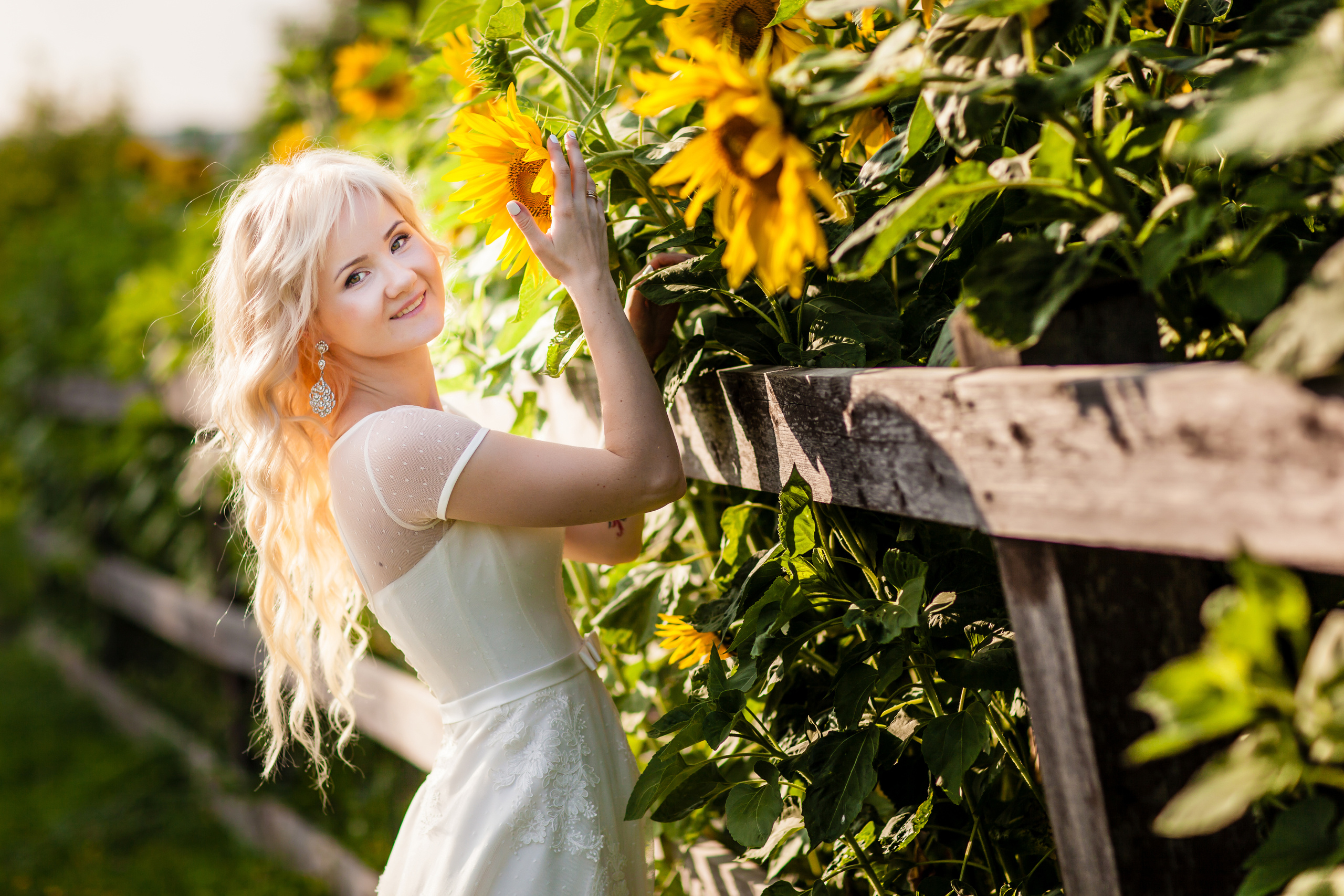 Свадебный фотограф Москва, Николай Завьялов. Видеооператор/Фотограф Николай Завьялов