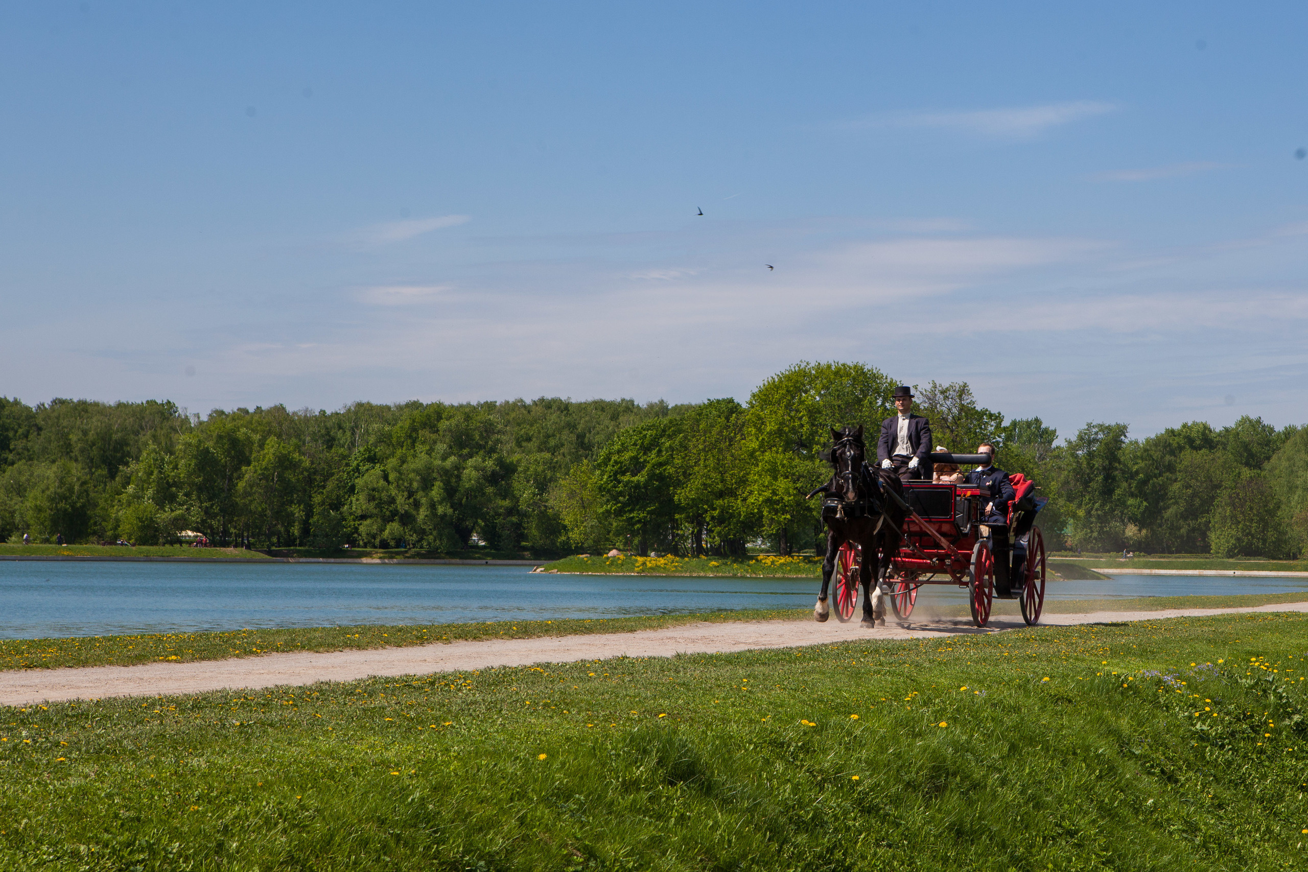 Свадебный фотограф Москва, Николай Завьялов. Видеооператор/Фотограф Николай Завьялов