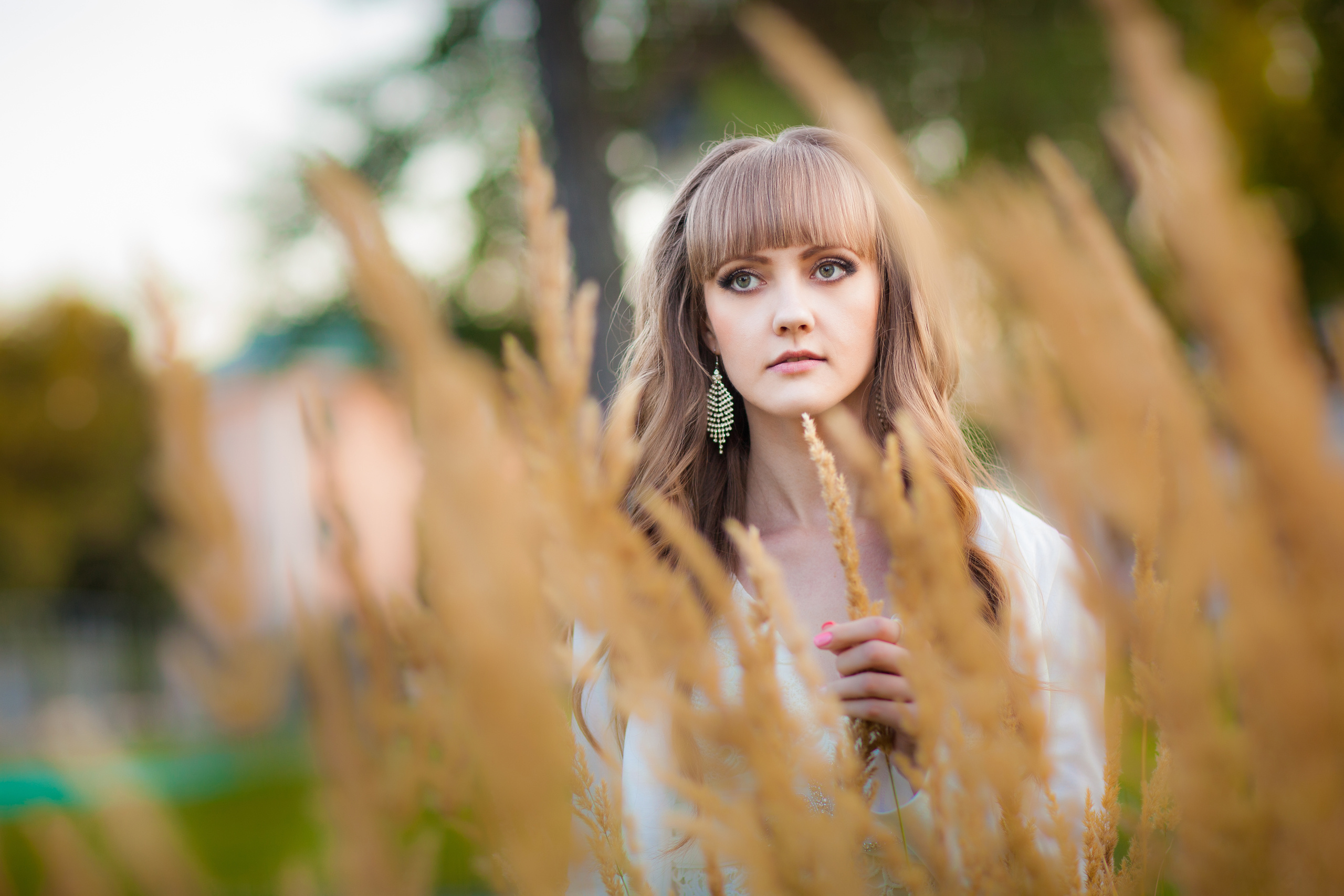 Свадебный фотограф Москва, Николай Завьялов. Видеооператор/Фотограф Николай Завьялов