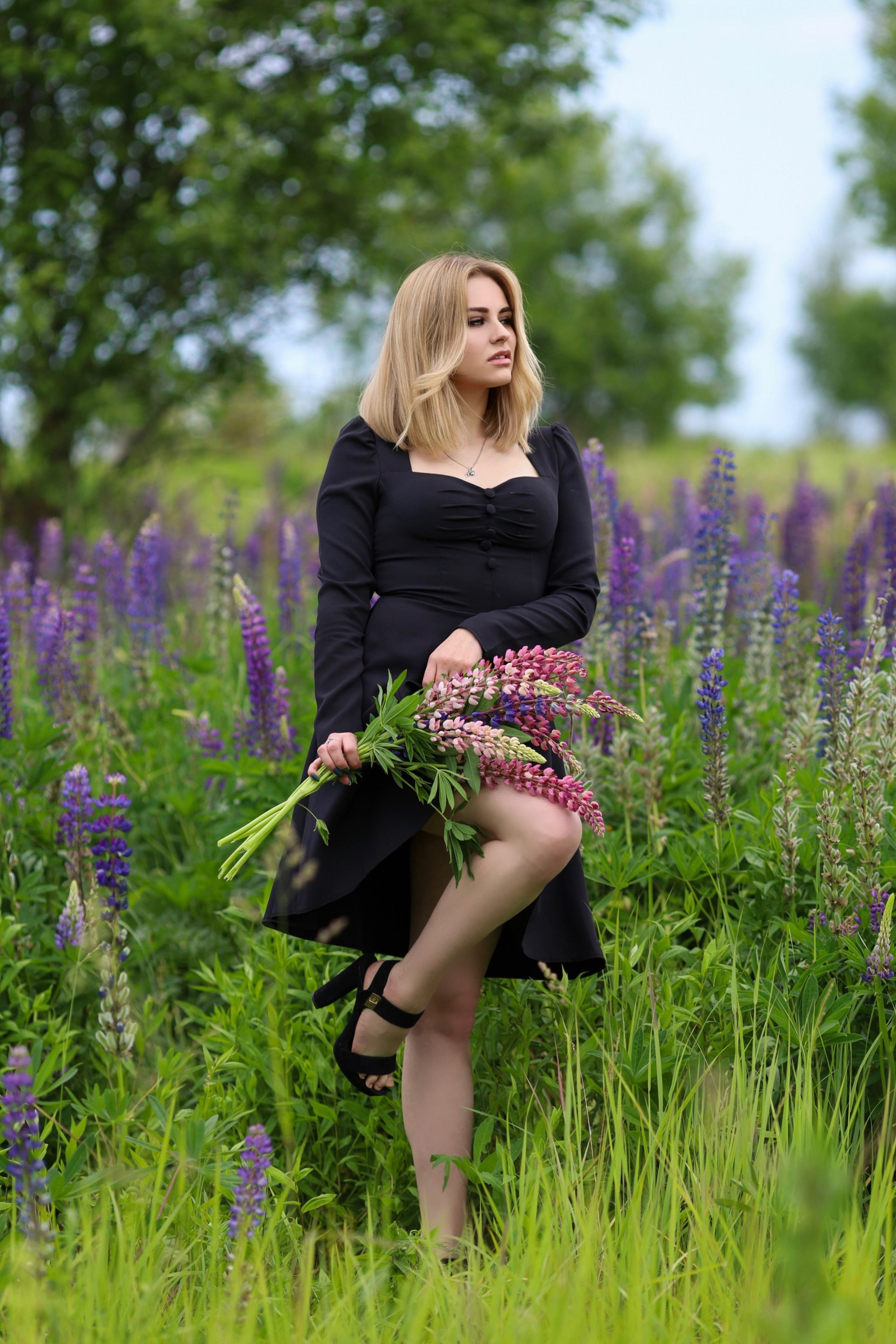 Фира. Люпины. Главная