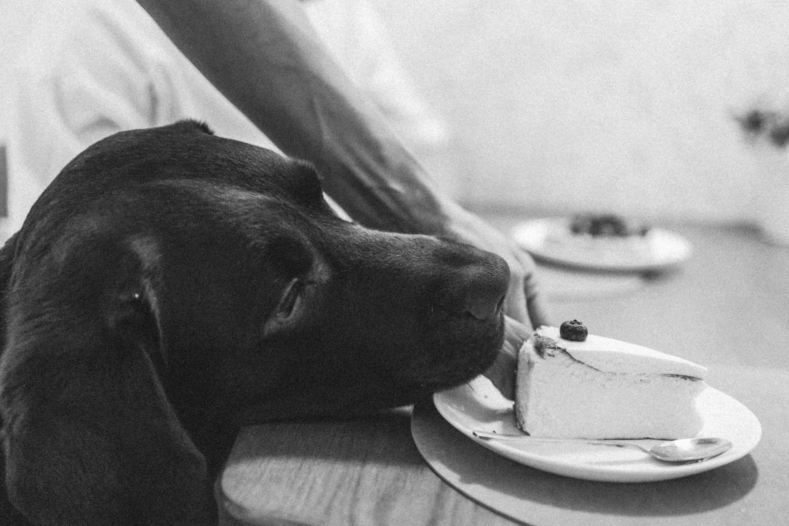 16. Семейный фотограф в Москве Жукова Анна