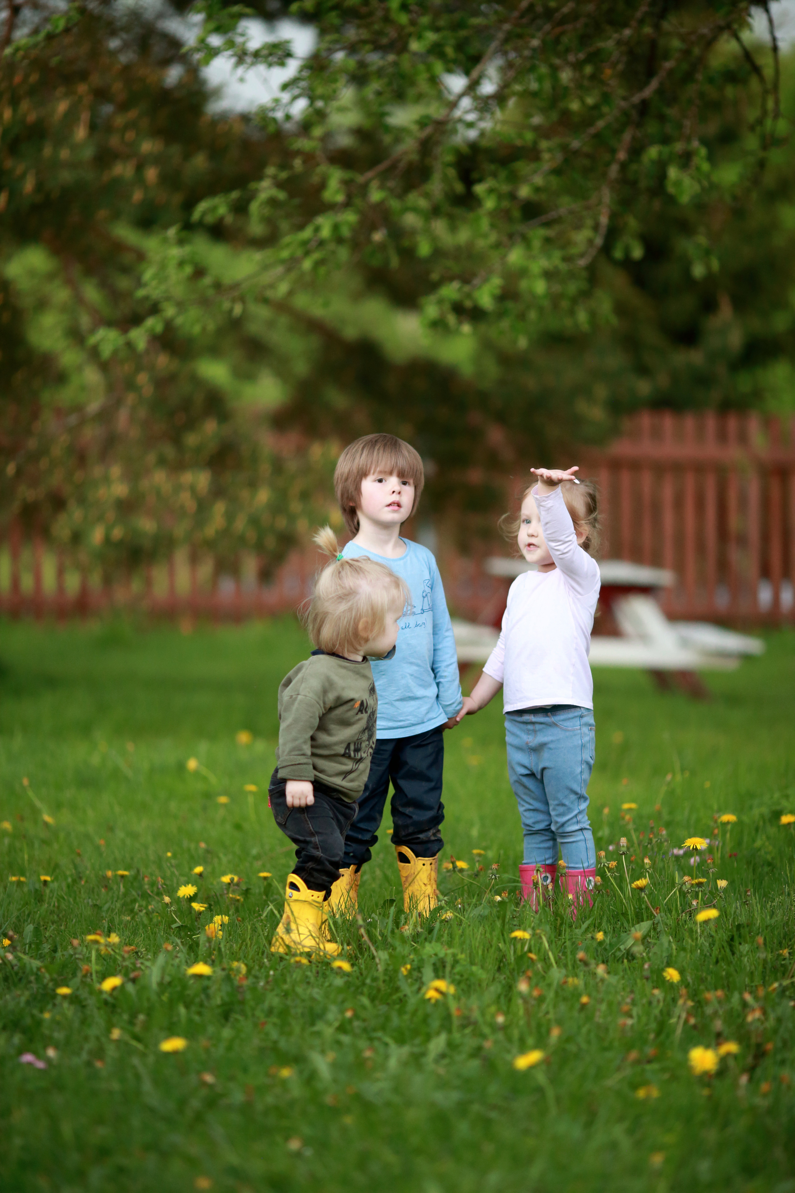 Семейные. Семейный и детский фотограф Беспалова Анна