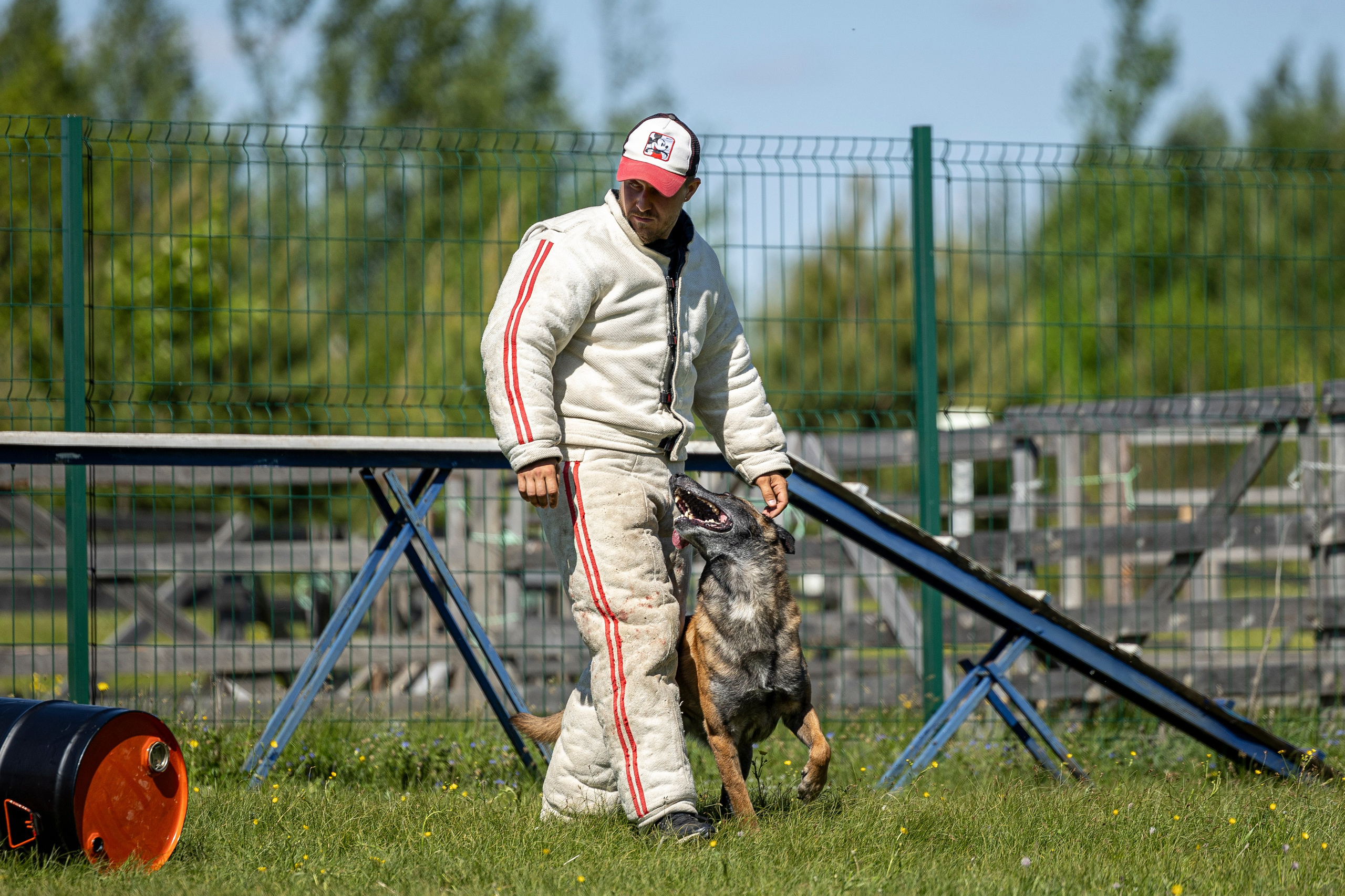 Испытания по мондьорингу в Нижнем Новгороде. Фотограф-анималист Анна Маринич