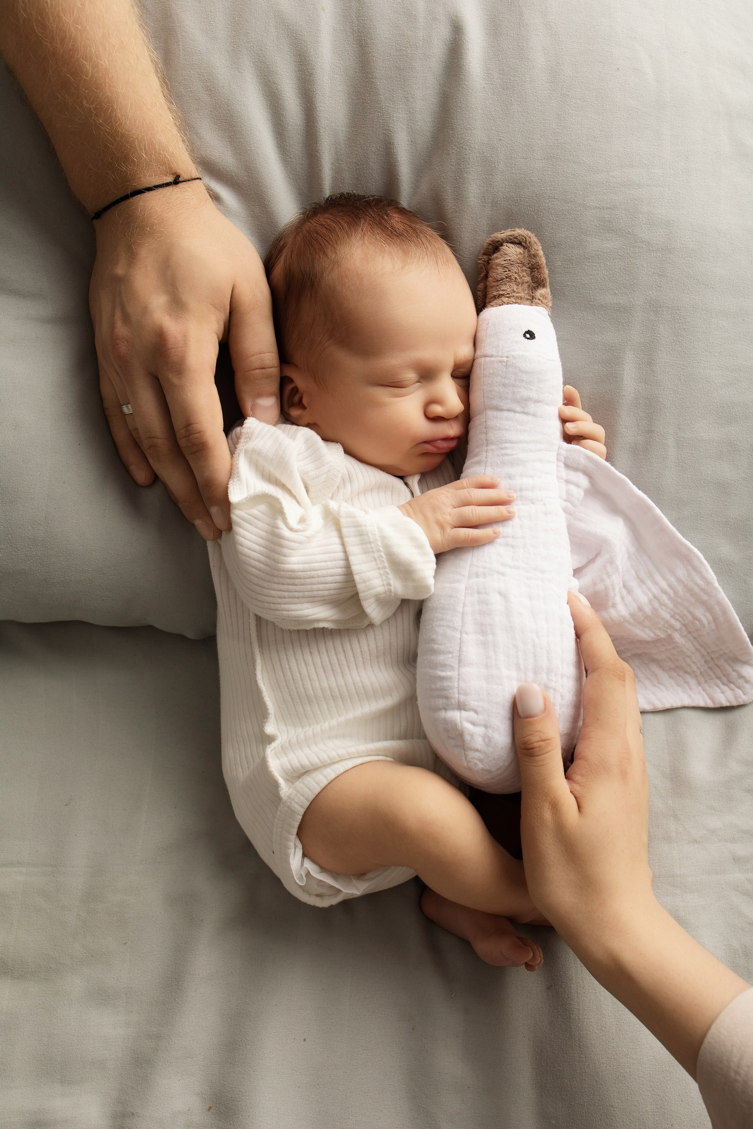 Лев 18 дней. Фотограф новорождённых Newborn Москва