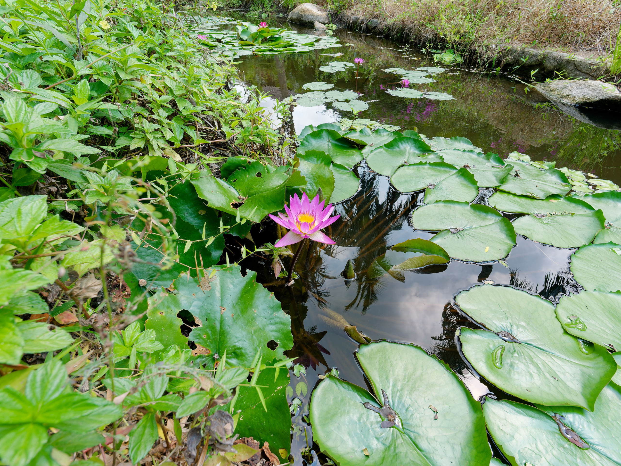 Хайнань 2026, отель «Stony Brook Villa Jianguo Resort Sanya 4*». Фотопрогулки по Миру