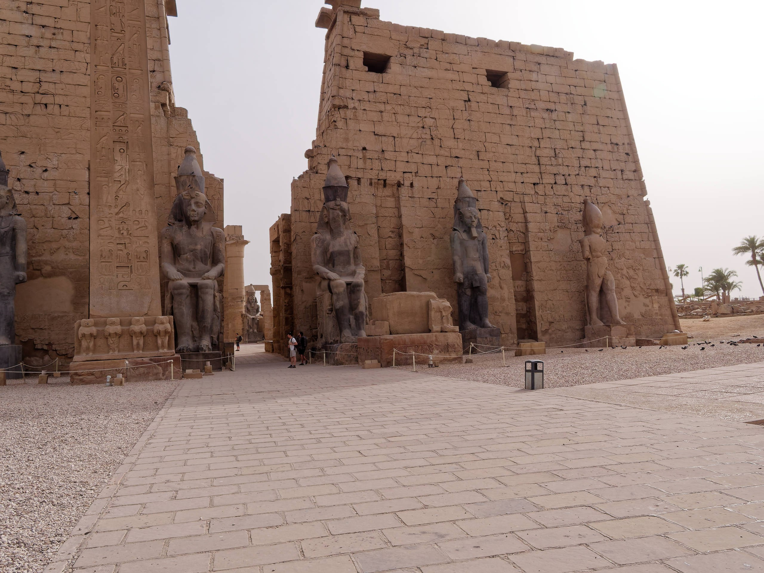Луксор 2022, Луксорский храм. Избранные фотографии
