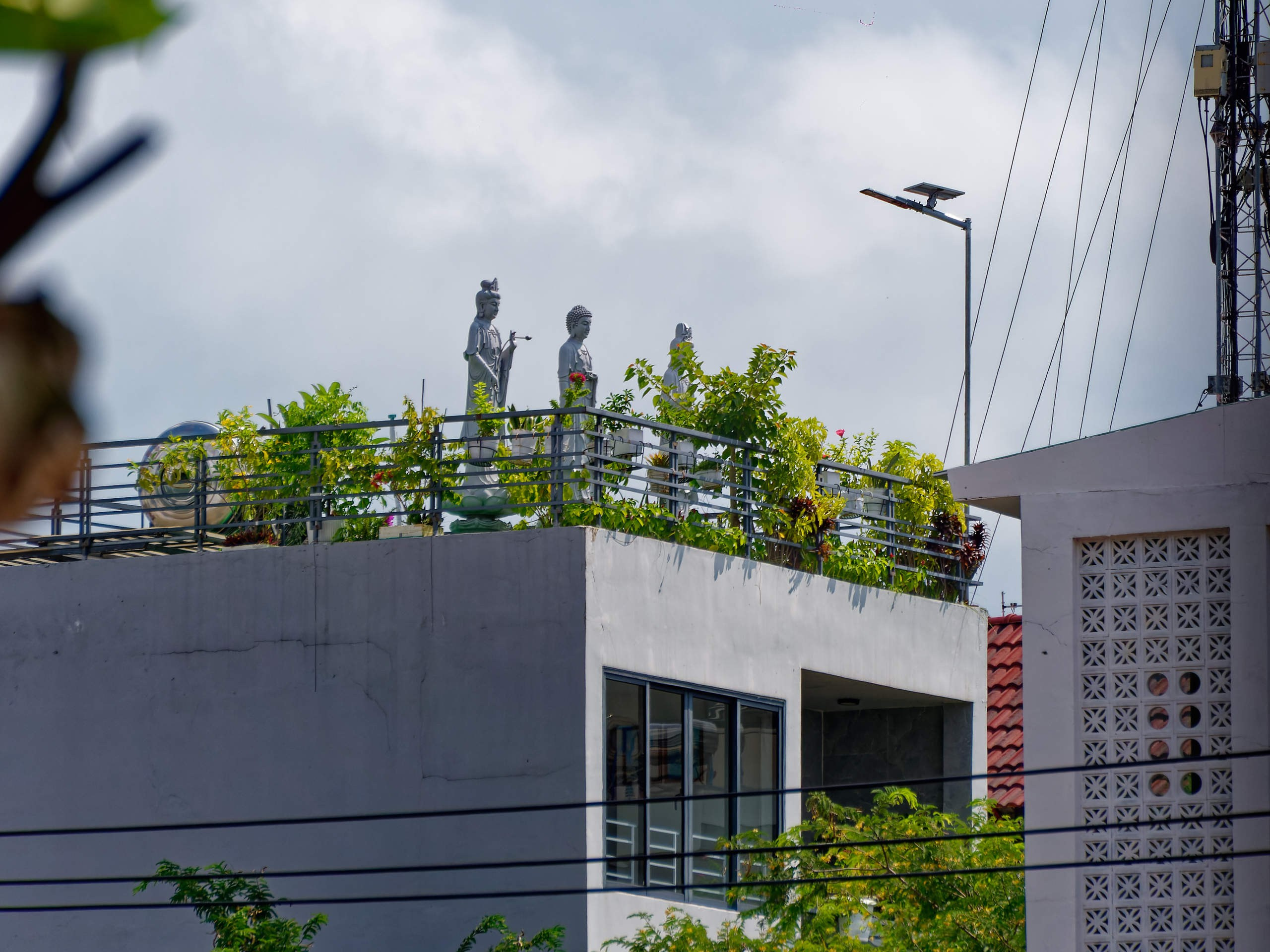 Нячанг 2023. Избранные фотографии