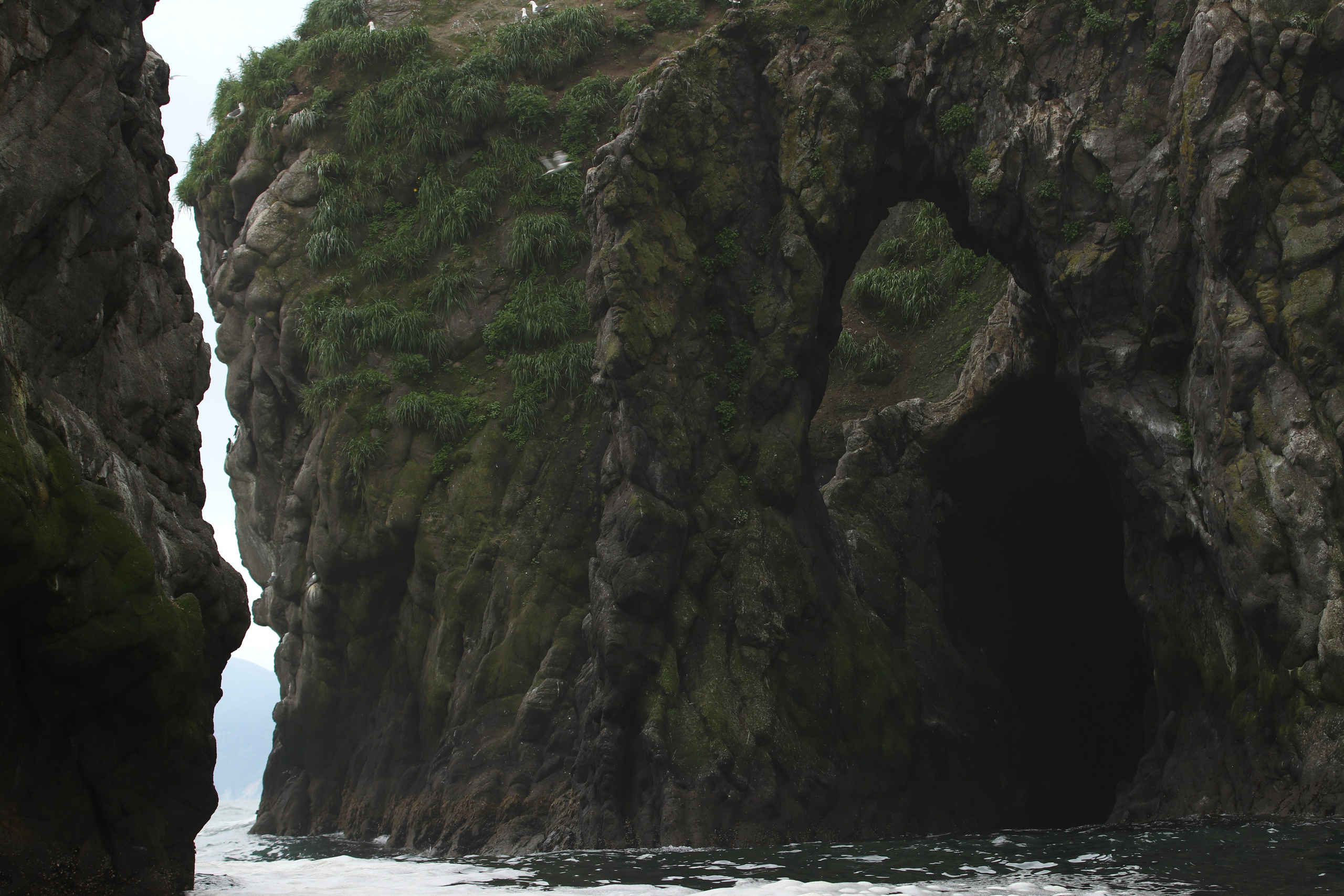 Камчатка и о. Парамушир. Июль 2024. Путешественник-фотограф из Санкт-Петербурга Татьяна Свистулина