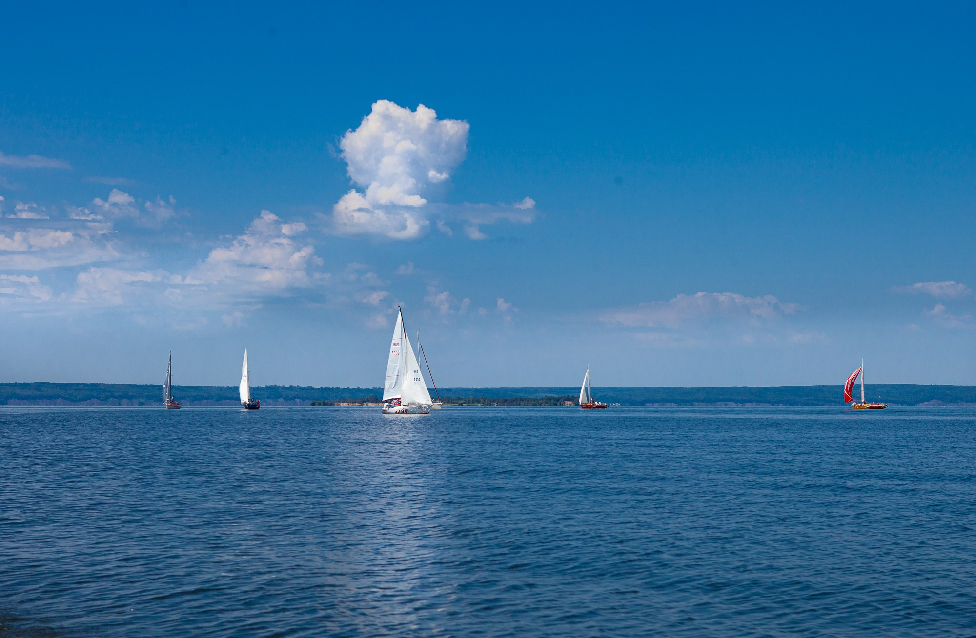 Парусная регата. Фотограф Анастасия Лёвушкина