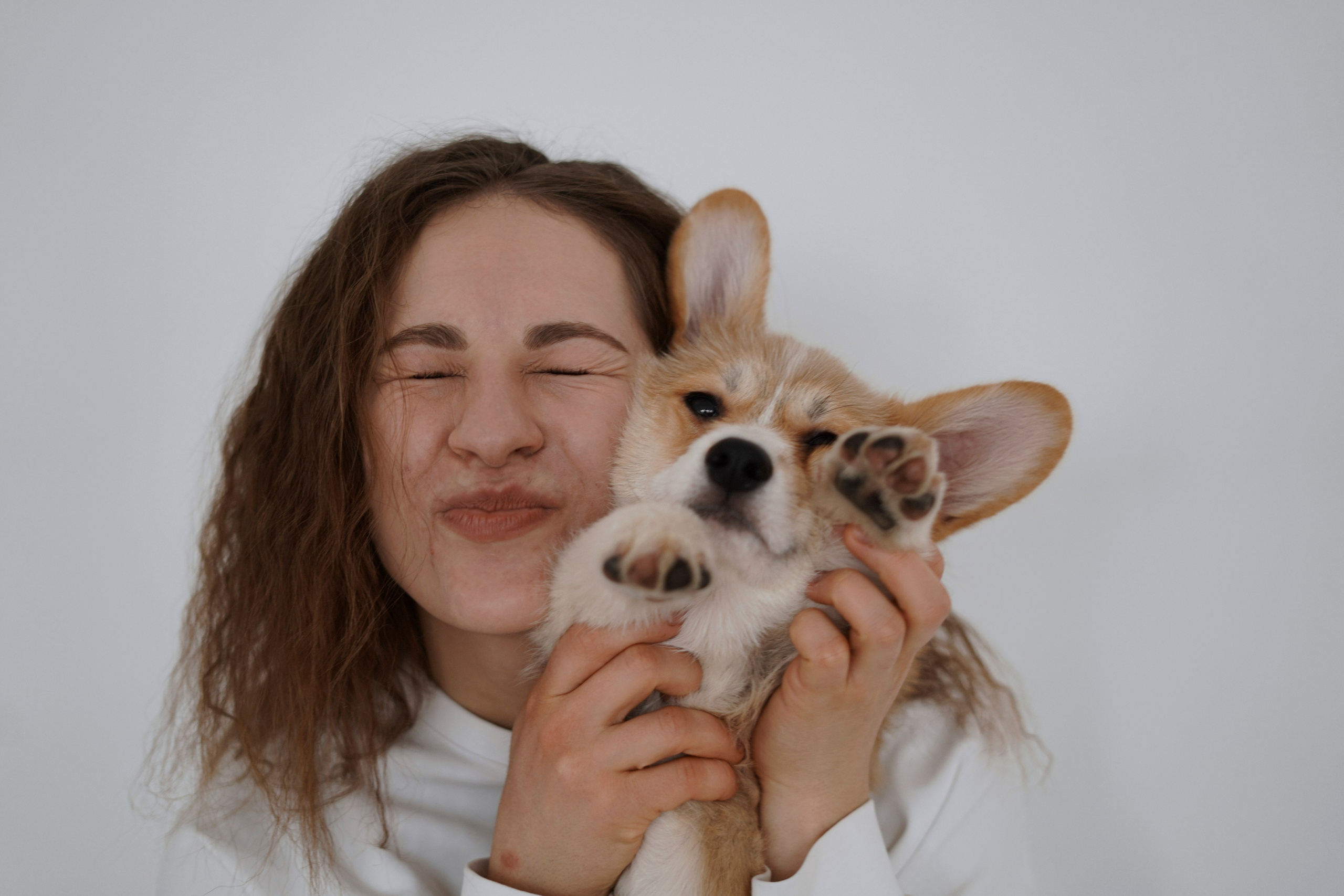 Антон&Марина&Дарси. Ваш фотограф Анастасия Болотникова