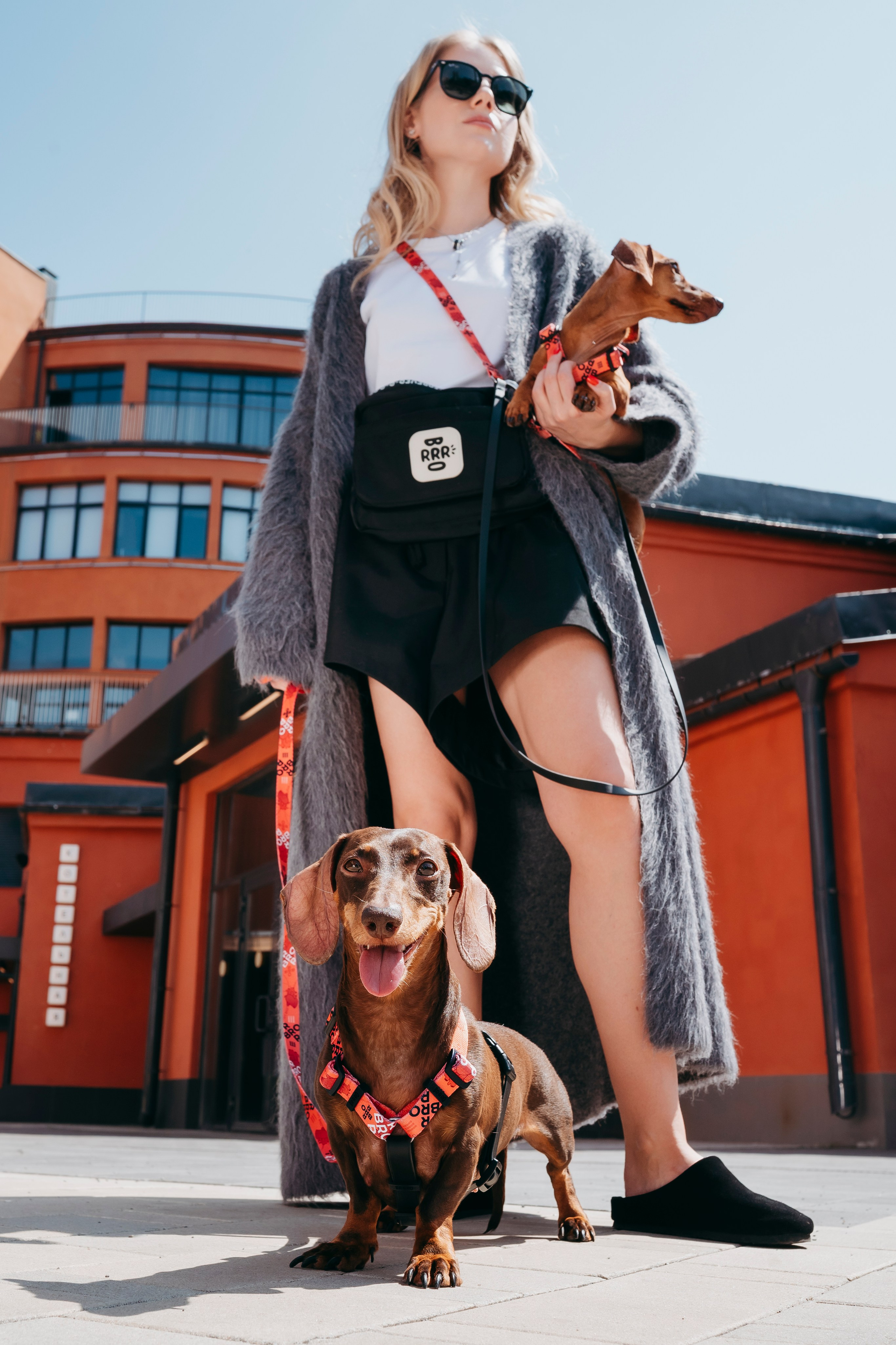 BRRRO. Семейный фотограф анималист Ананьева Мария — Москва