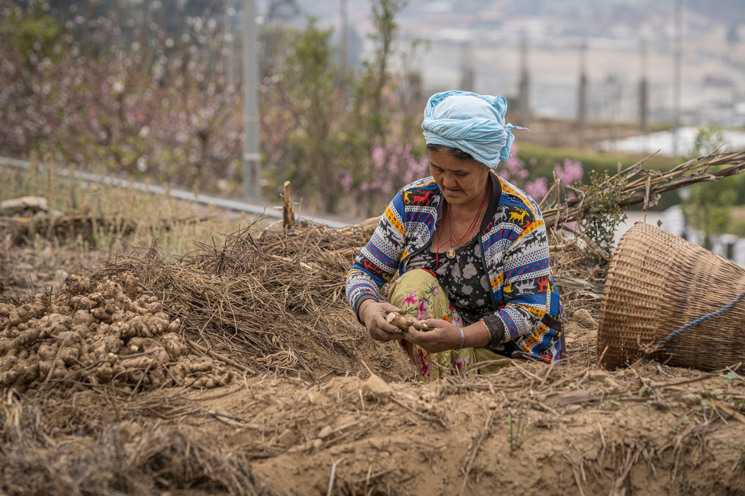 India travel. Фотограф Сергей Танков