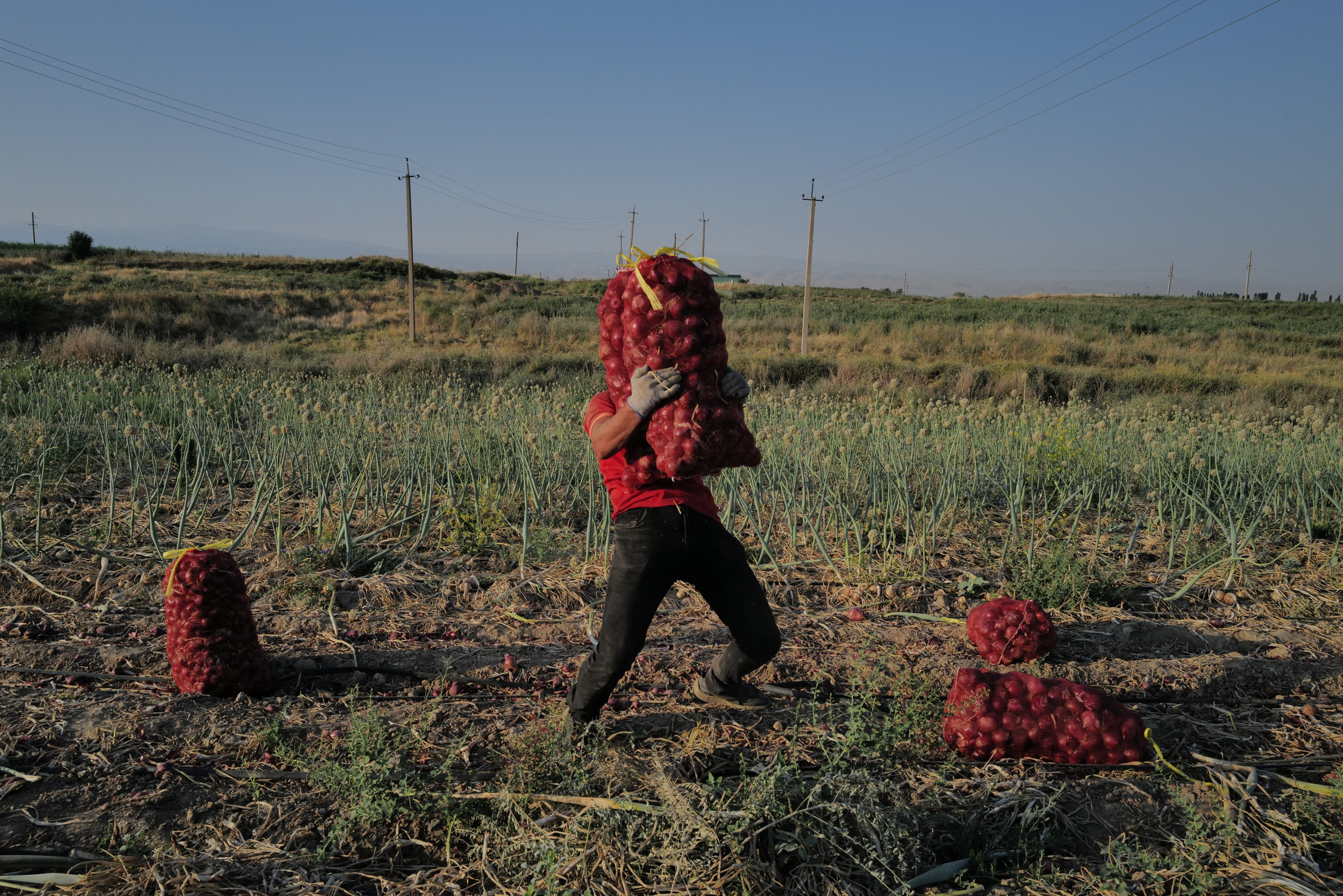 Syrdarya: water and people. Petr Trotsenko documentary photographer