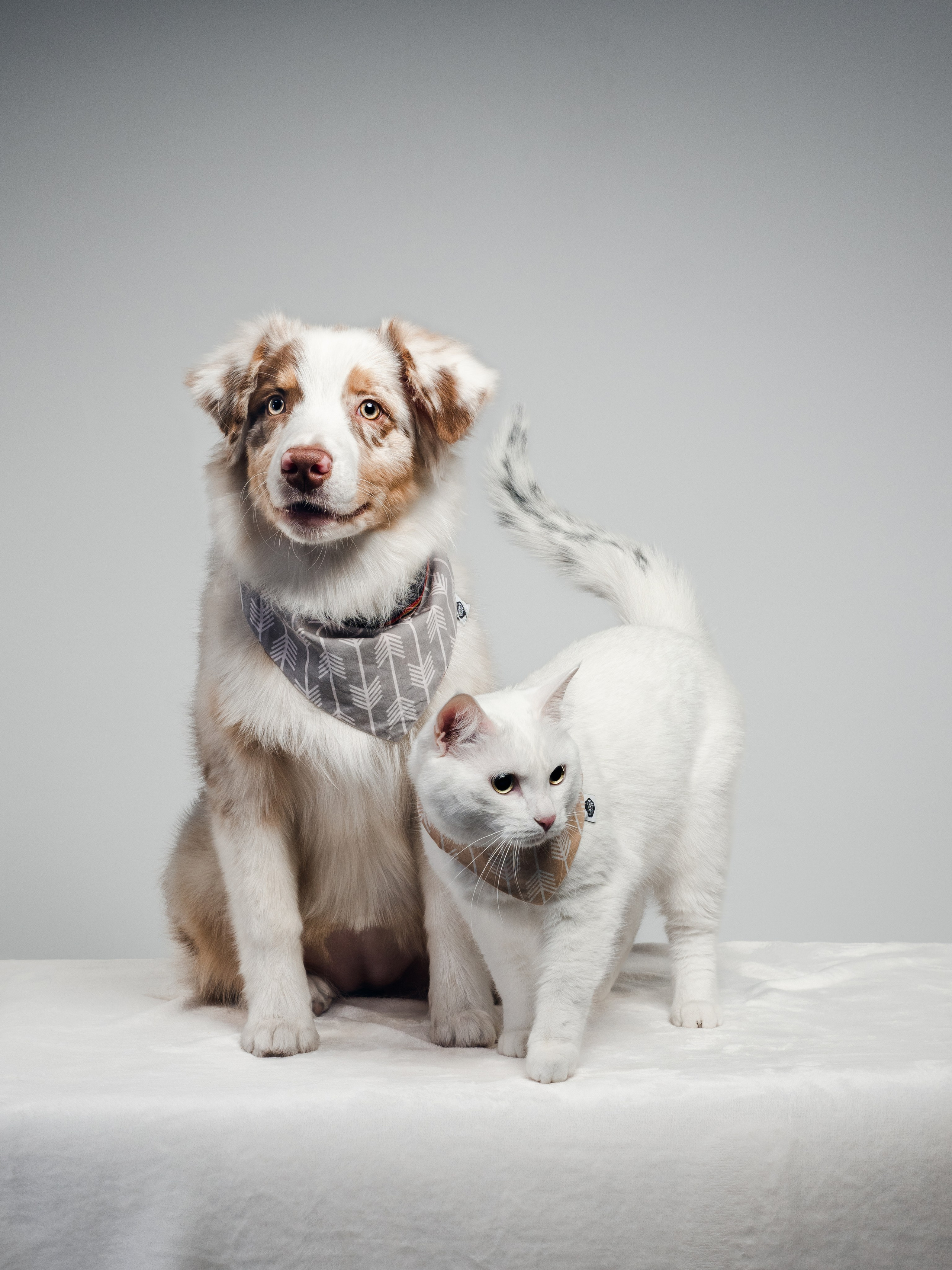 Фотограф животных и людей в Санкт-Петербурге Дарья Быстрицкая