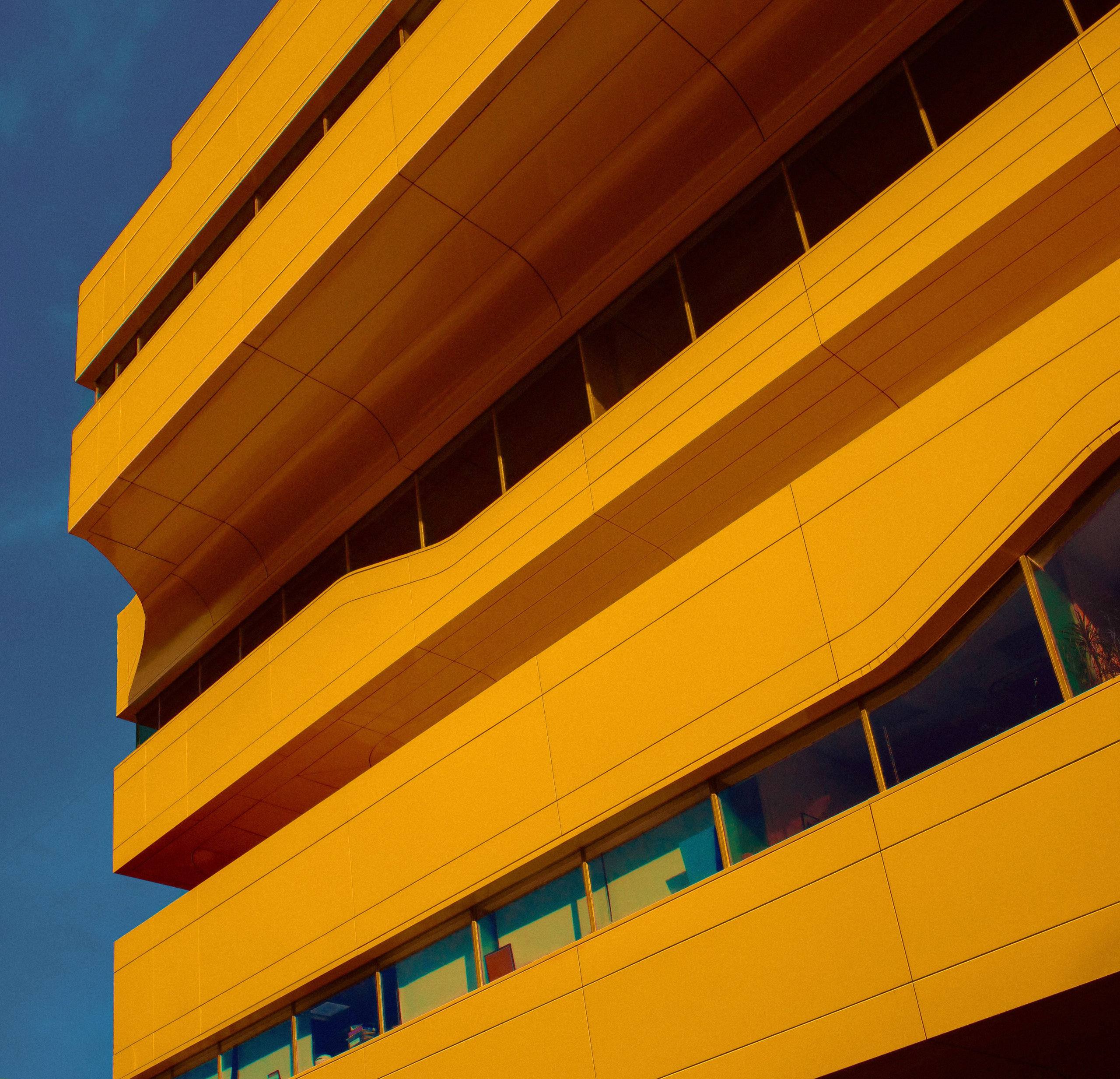 CVET — Сафонов Владислав. Сафонов Владислав, фотохудожник