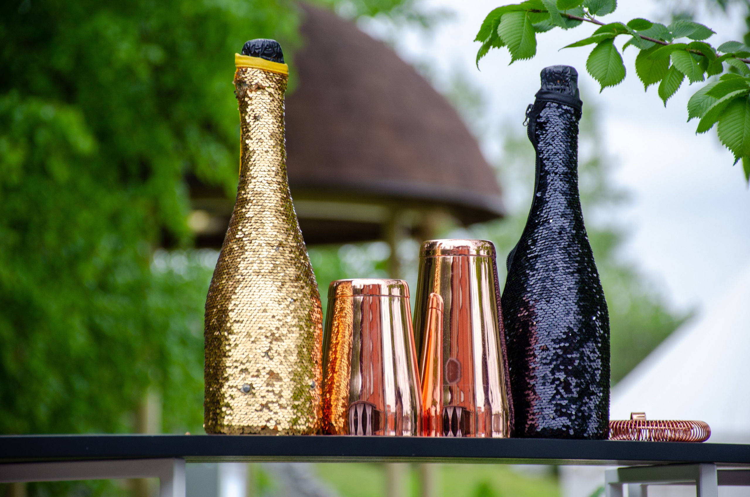 Сагиттариус. Фотограф Универсал в Новосибирске