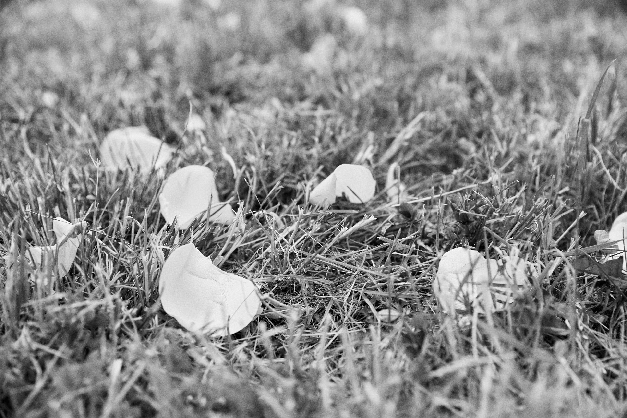 Уверенность во взгляде. Свадебный и семейный фотограф в Ярославле и Рыбинске Вячеслав Барышков